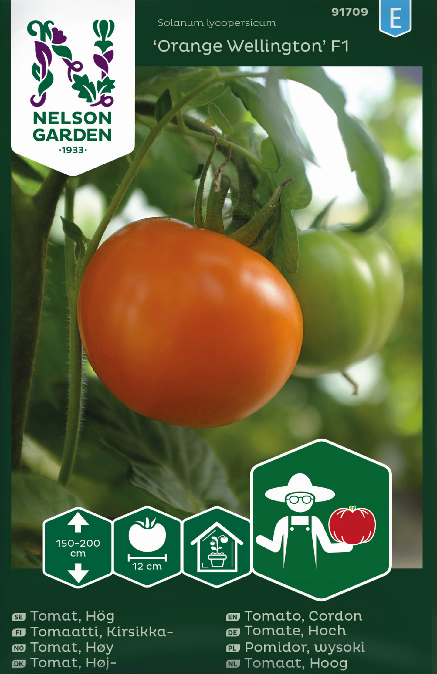 Tomaatti siemen Nelson Garden Orange wellington F1