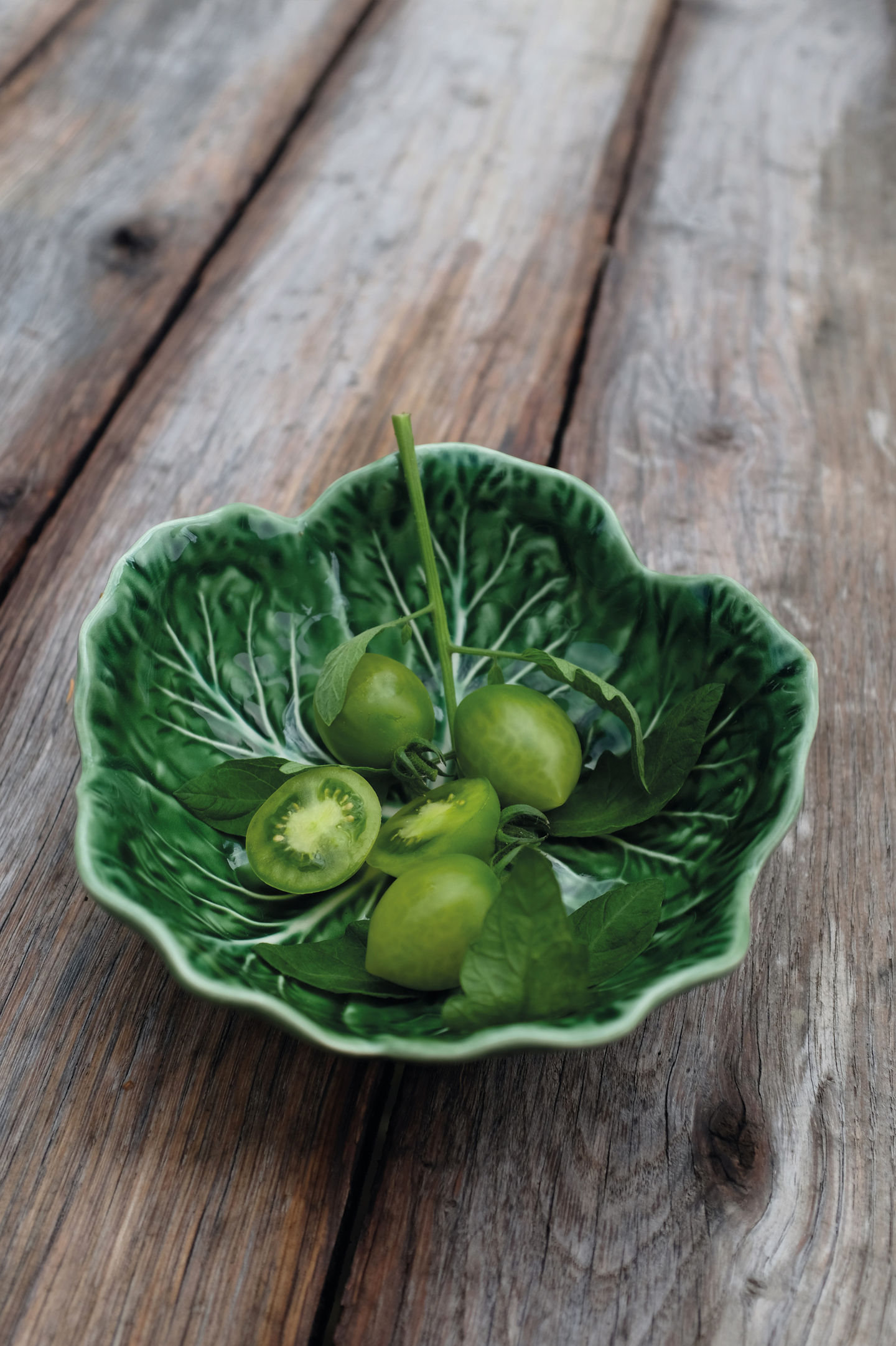 Tomaatti siemen Nelson Garden Green envy