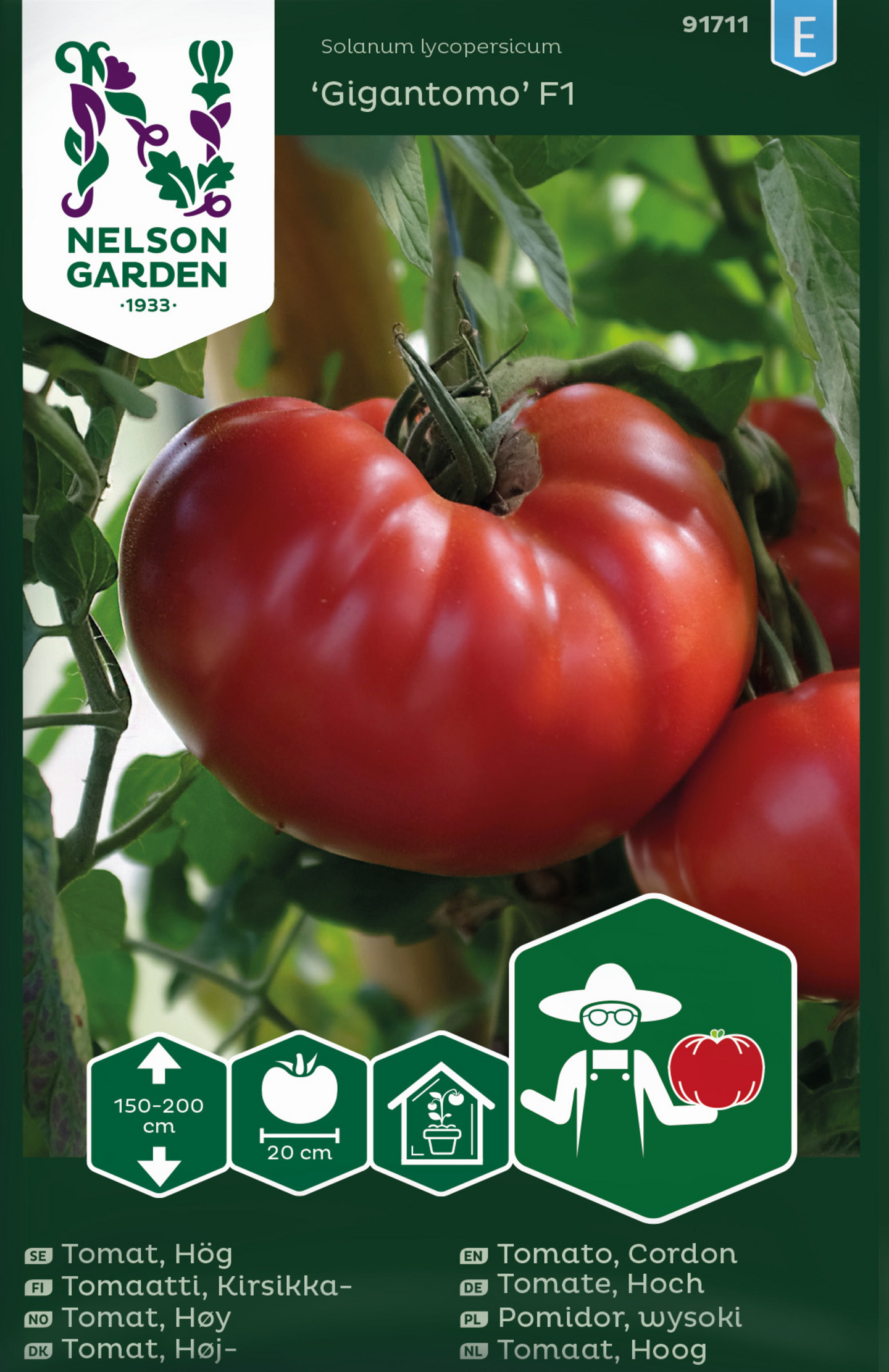 Tomaatti siemen Nelson Garden Gigantomo F1