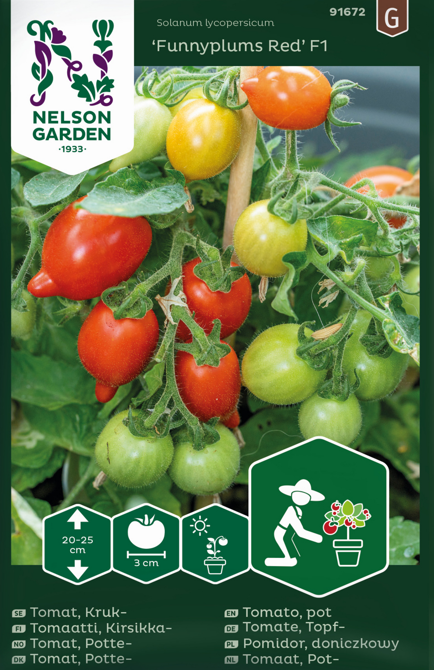 Pensastomaatti siemen Nelson Garden Funnyplums red F1