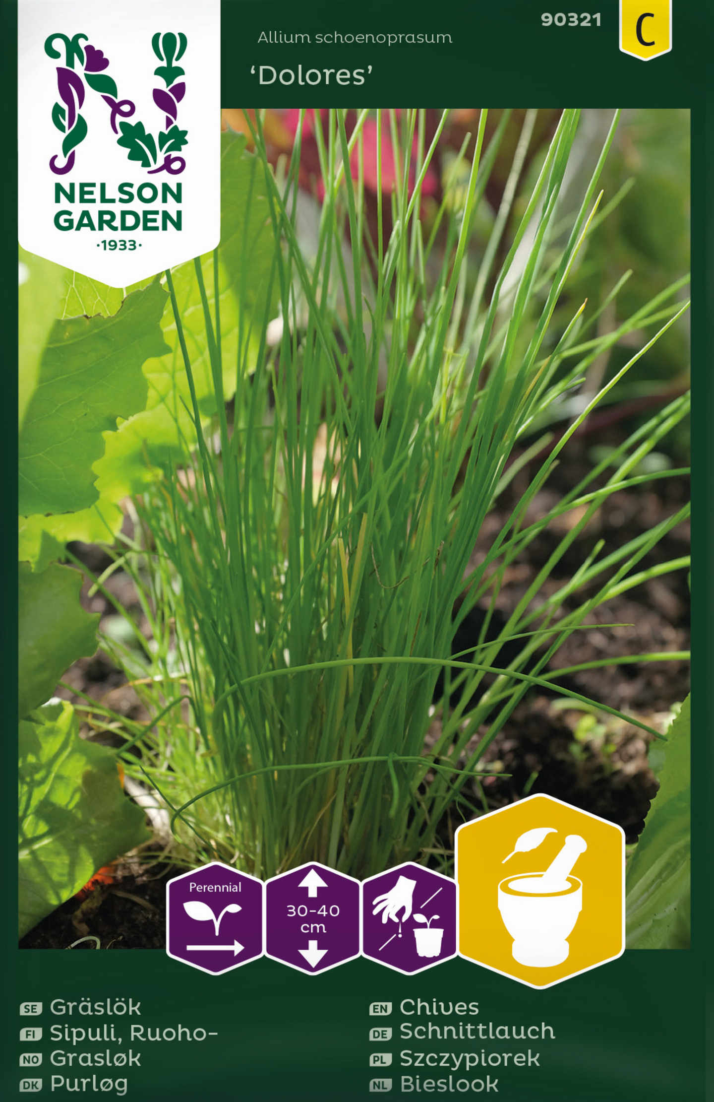 Ruohosipuli siemen Nelson Garden Dolores