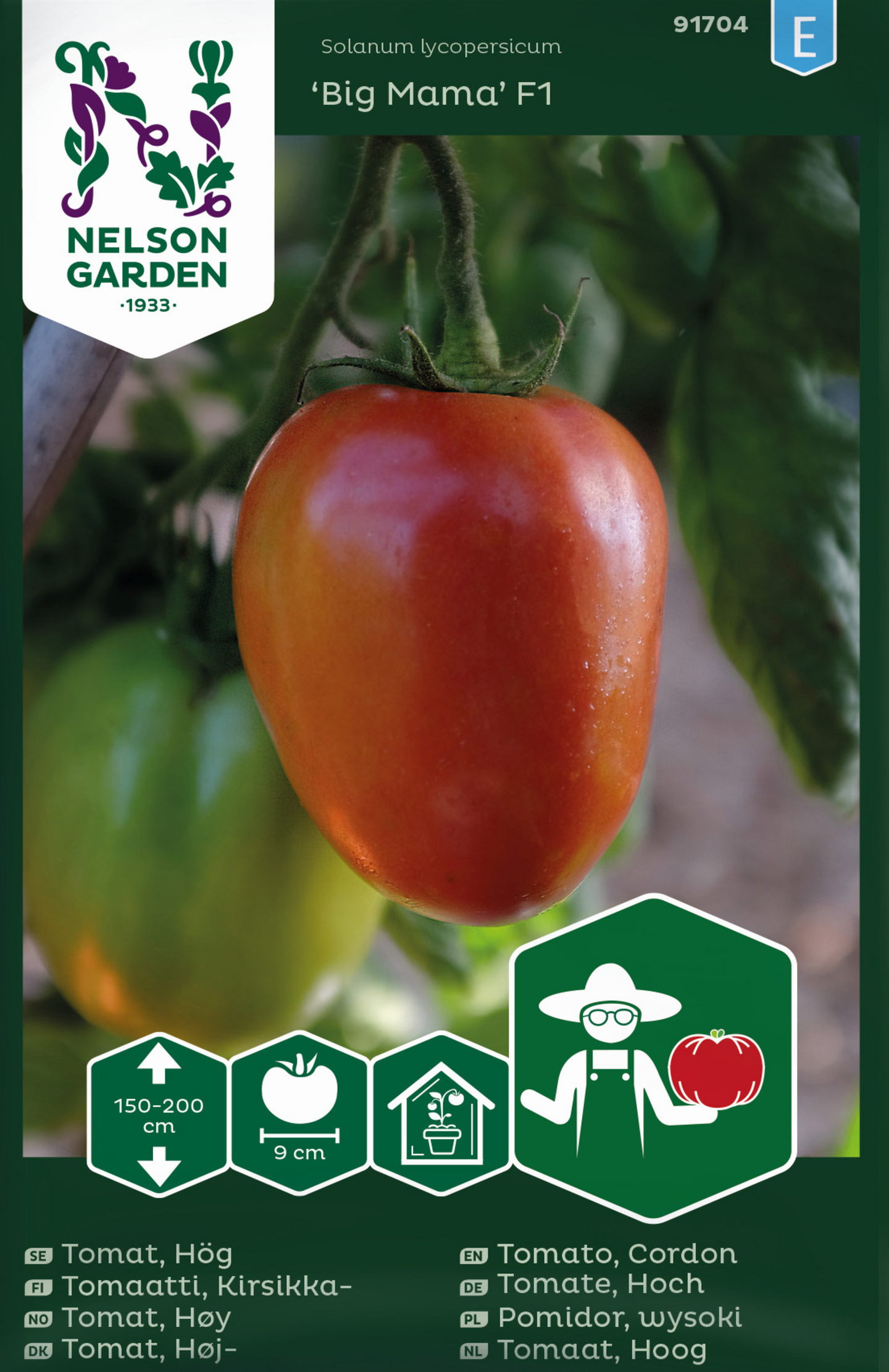 Tomaatti siemen Nelson Garden Big mama F1