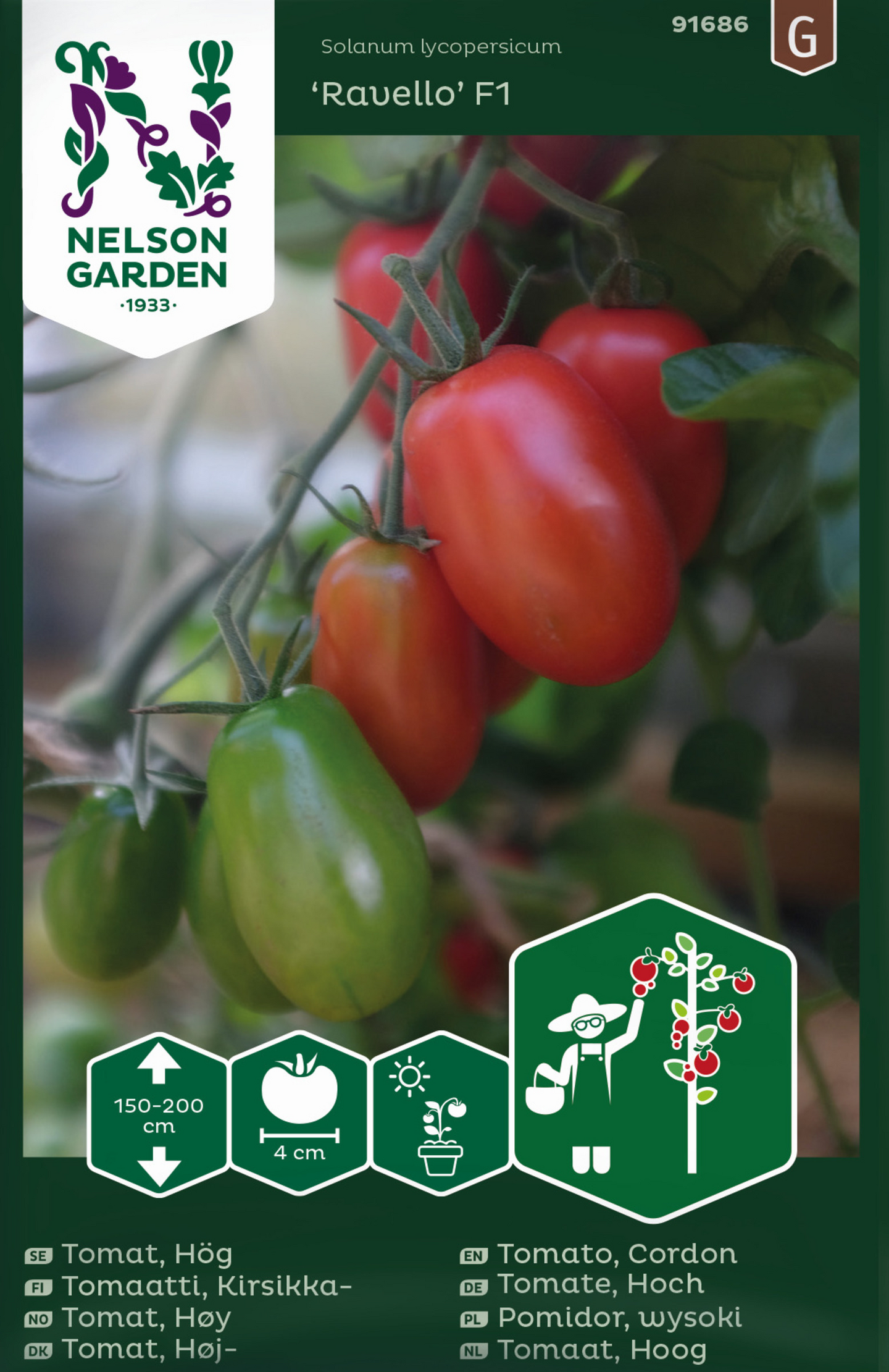 Tomaatti siemen Nelson Garden Ravello F1