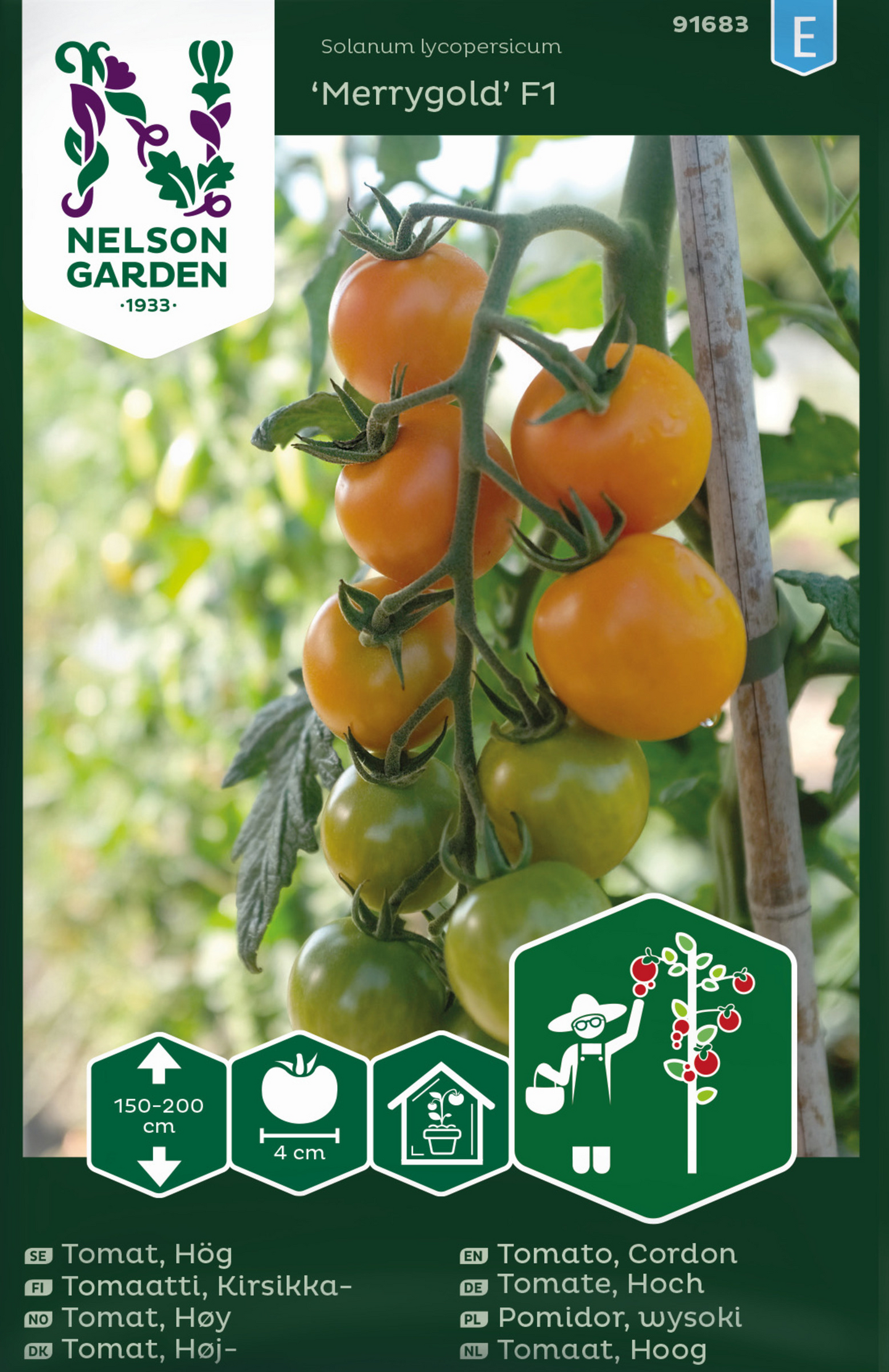 Tomaatti siemen Nelson Garden Merrygold F1