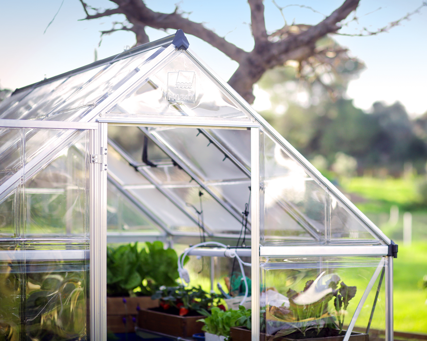 Kasvihuone Canopia Harmony 4,6m² hopea