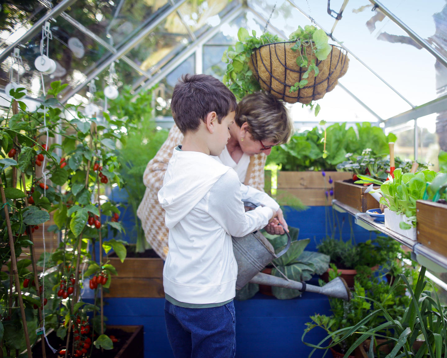 Kasvihuone Canopia Harmony 7,9m² hopea