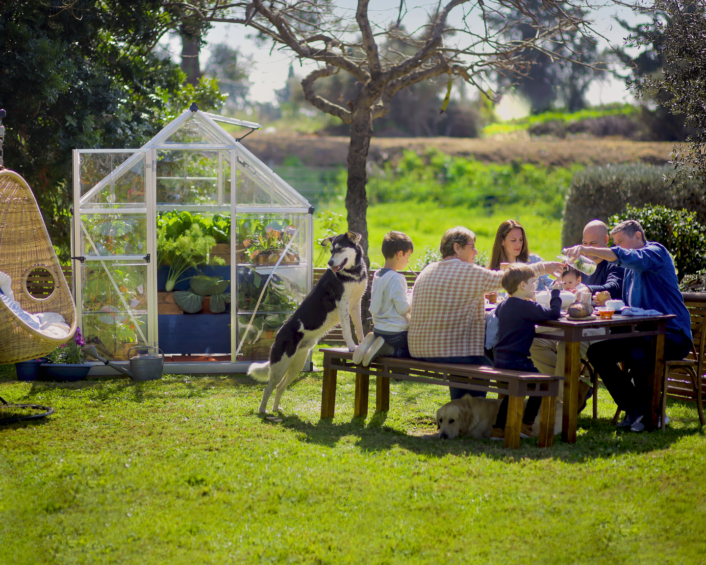 Kasvihuone Canopia Harmony 4,6m² hopea