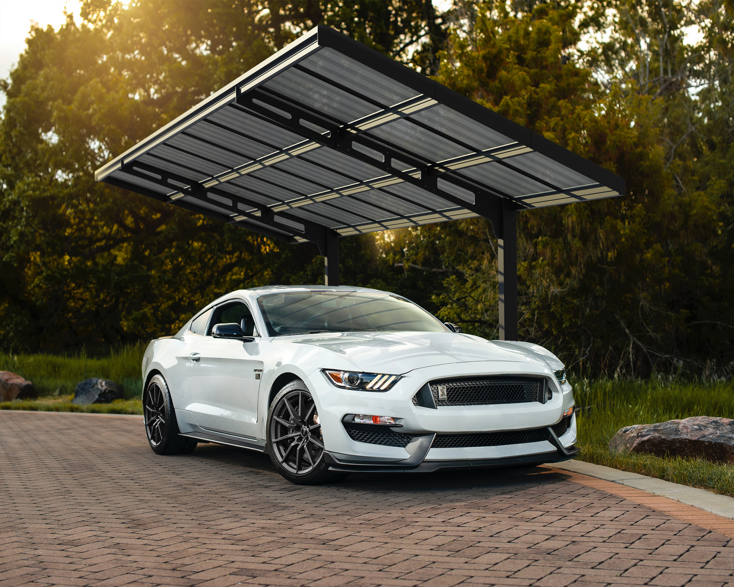 Autokatos Canopia Sydney 3x6m musta