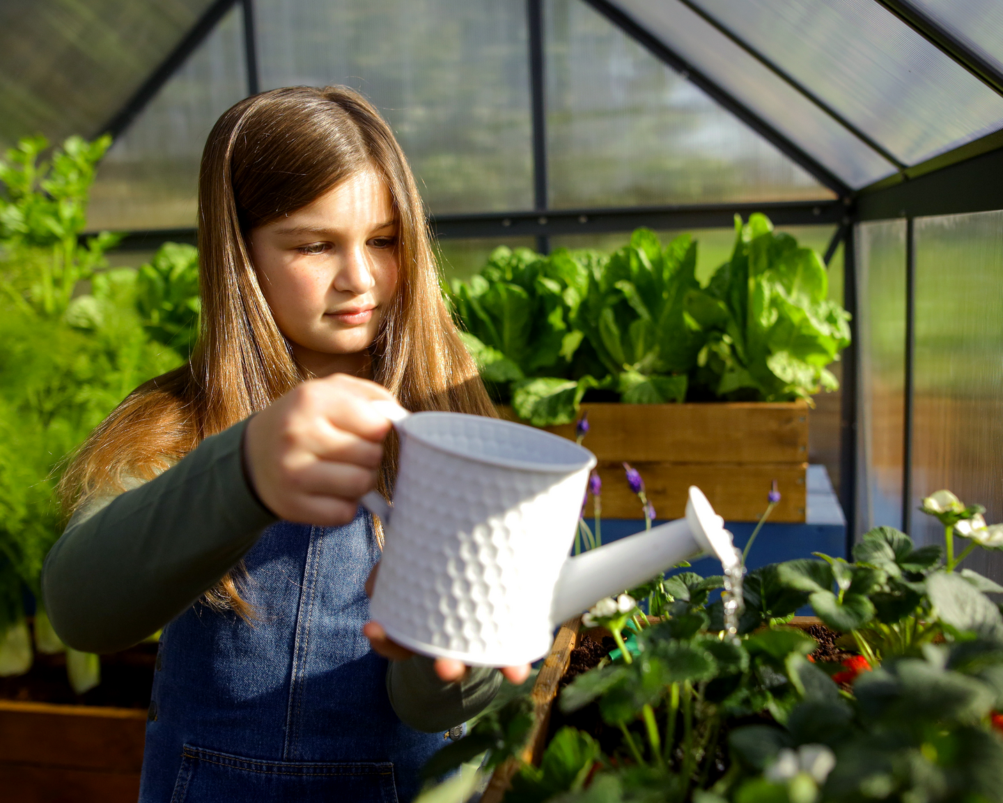 Kasvihuone Canopia Mythos 3,4m² harmaa