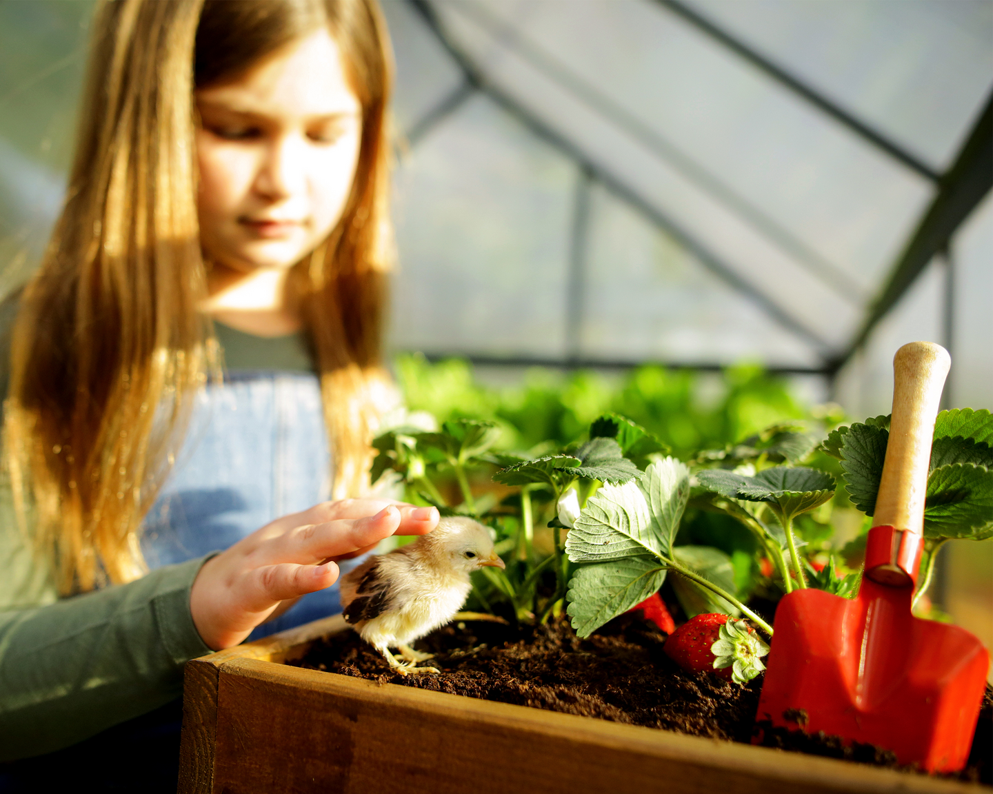 Kasvihuone Canopia Mythos 3,4m² harmaa