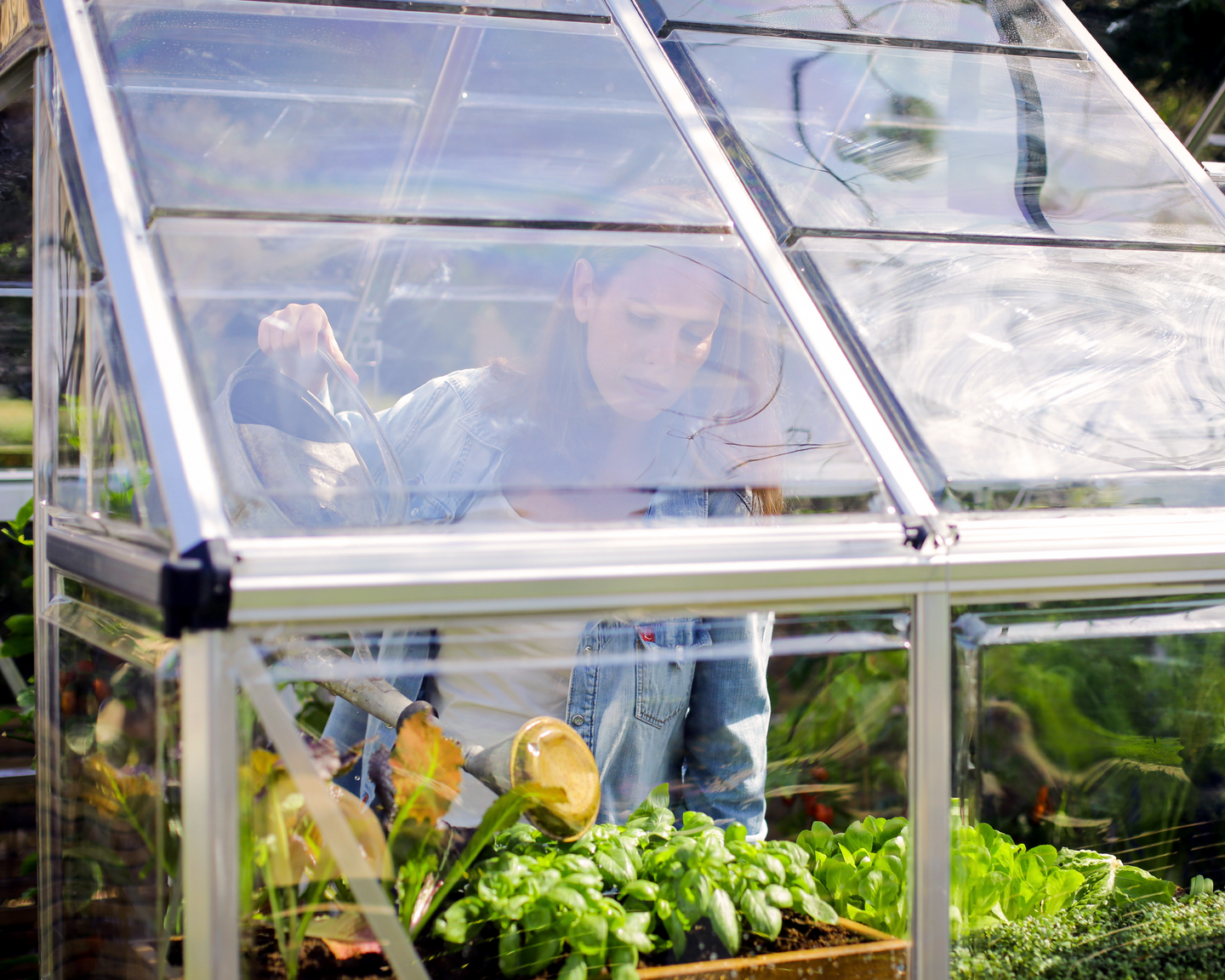 Kasvihuone Canopia Harmony 3,4m² hopea