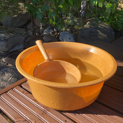 PESUVATI LM 479 12L WOOD