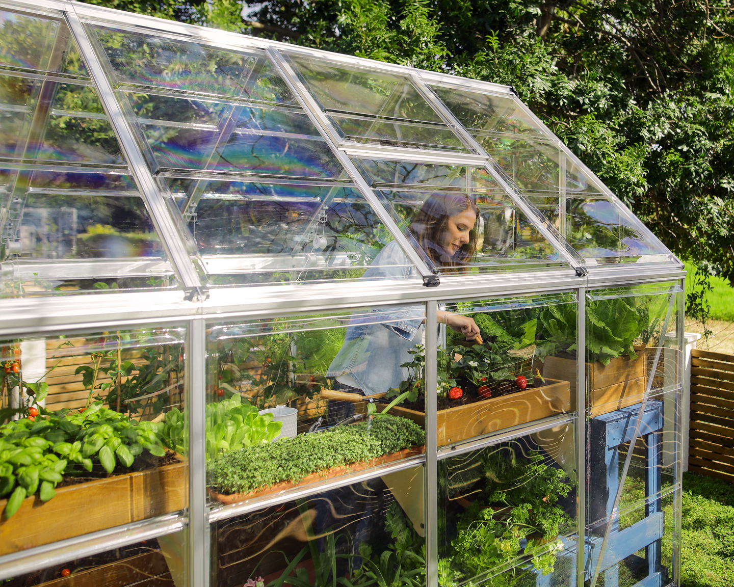 Kasvihuone Canopia Harmony 7,9m² hopea