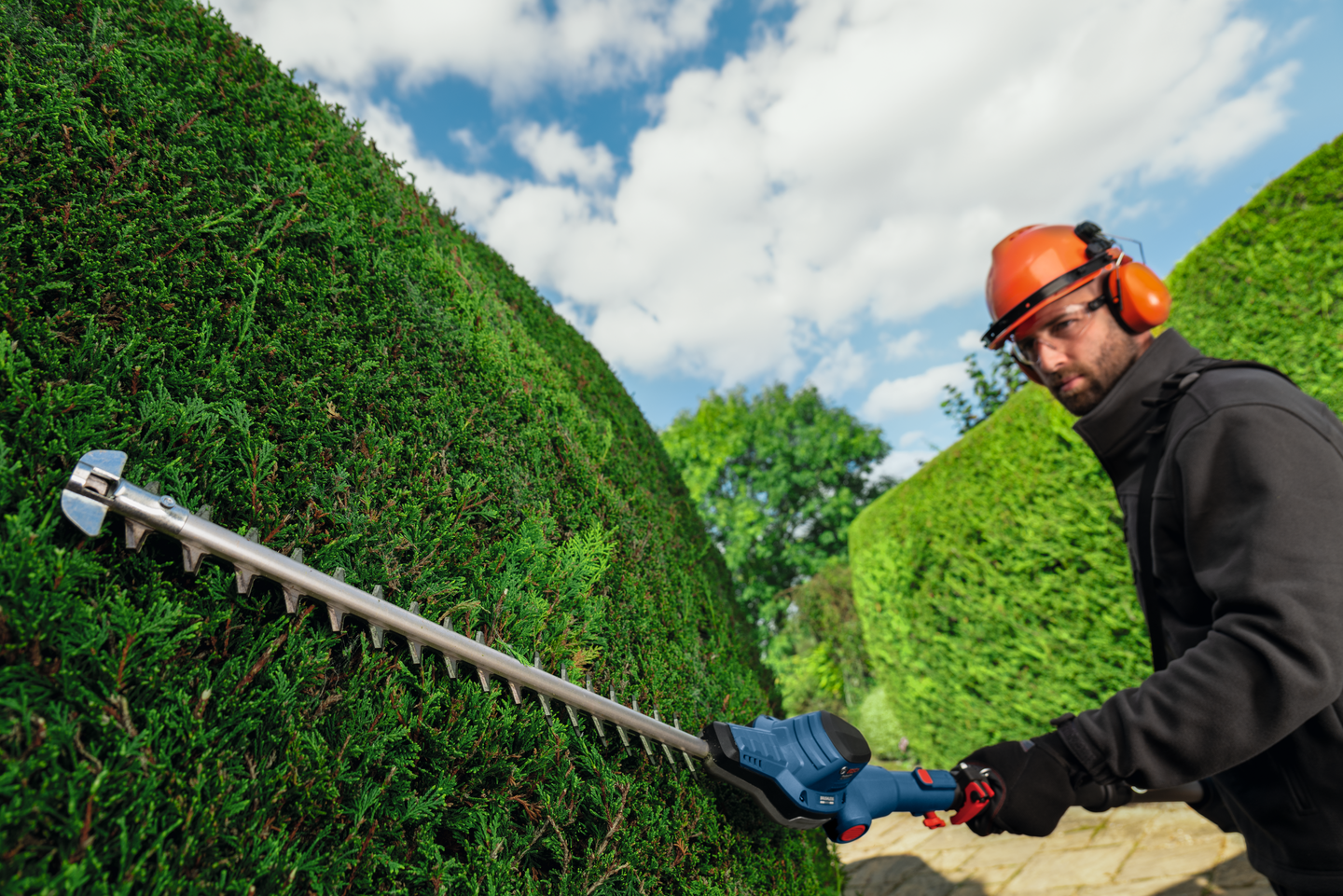 Akkupensasleikkuri Bosch GHE 18V-50 T teleskooppi Solo