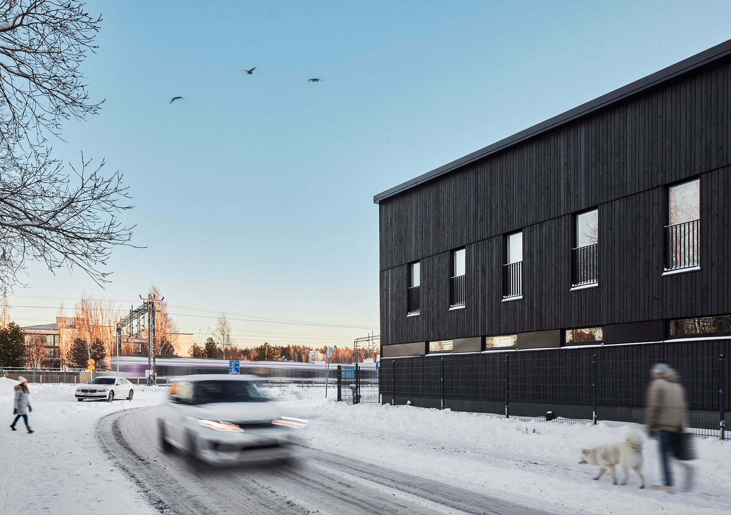 Sisustuspaneeli Hiil 22x120 Kiertopuu® mänty Hiili