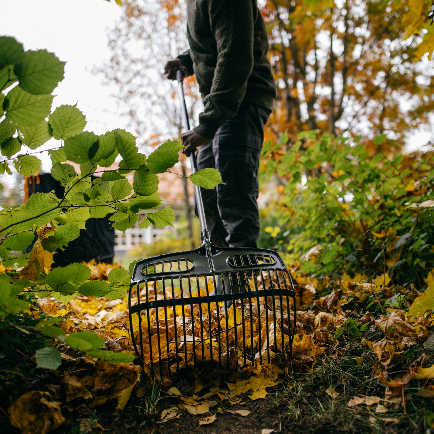 Haravalapio Fiskars Ergonomic