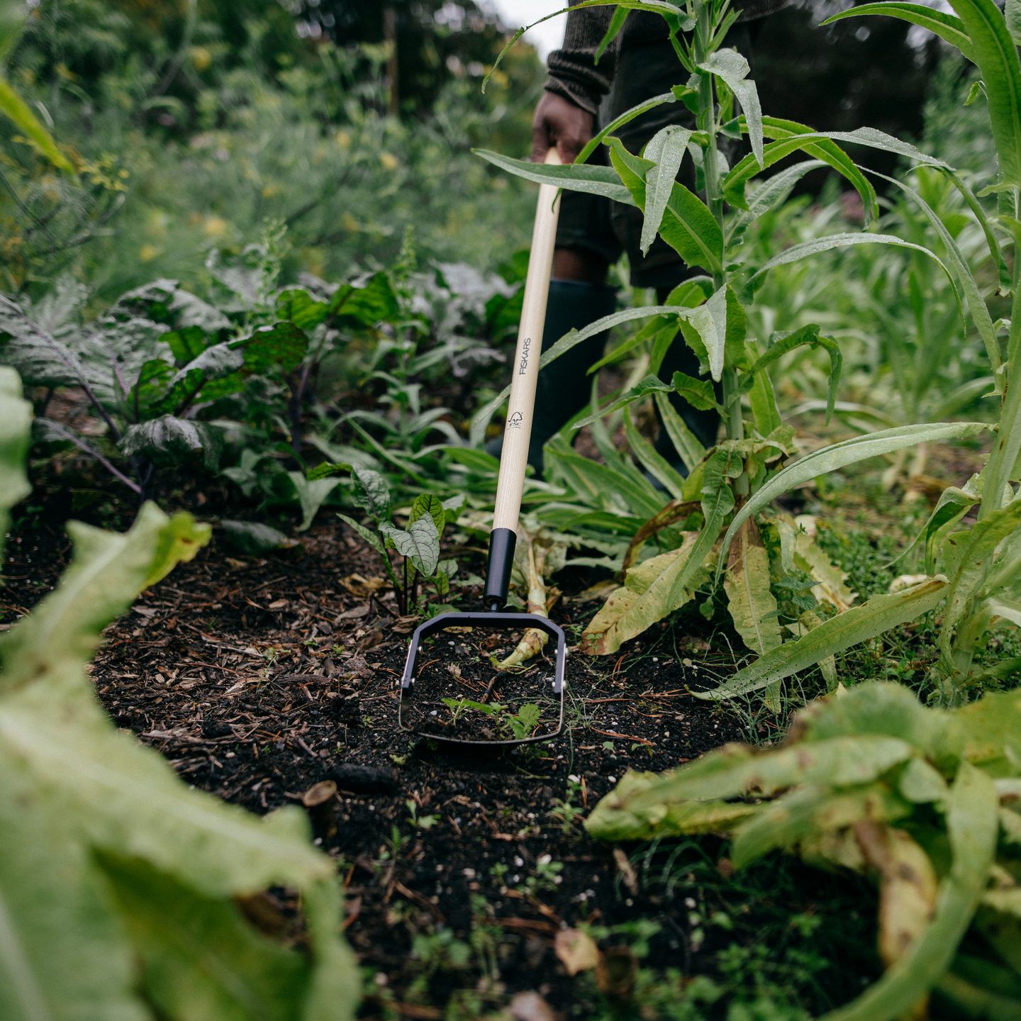 Rikkaruohohara Fiskars Solid puuvarsi FSC