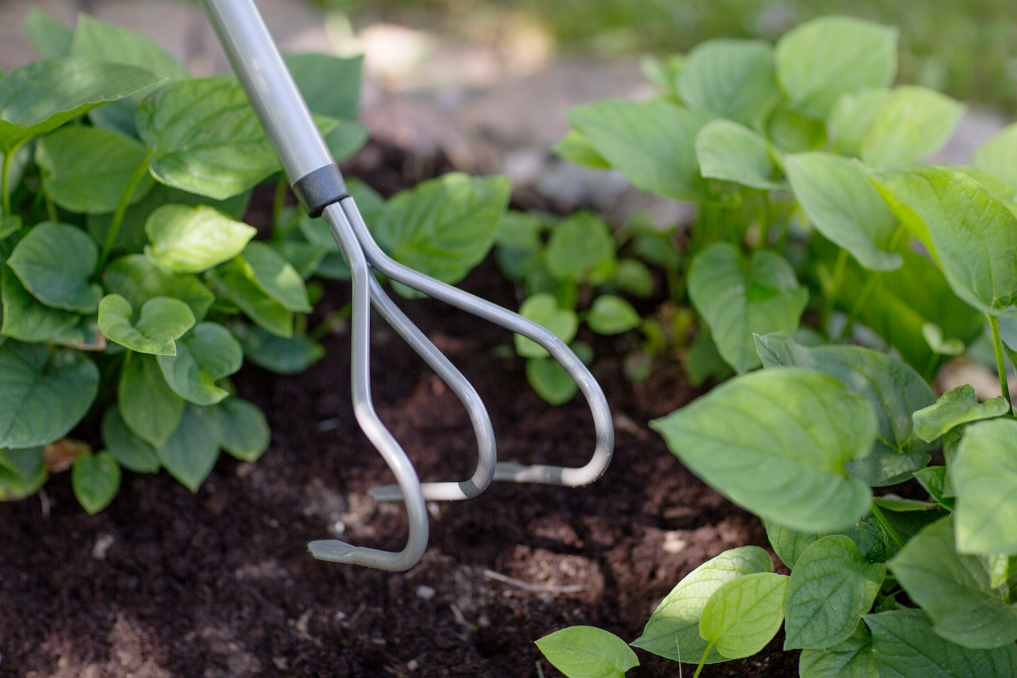 Möyhennyskuokka Fiskars Ergonomic