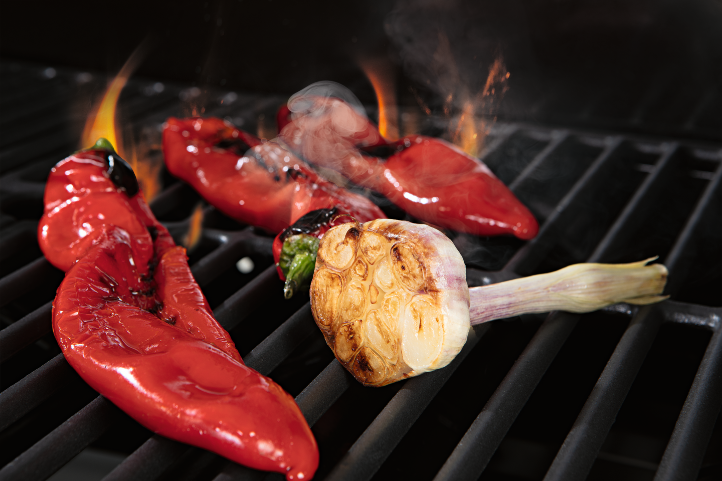 Kesäkeittiö Landmann Rexon Maxx 6.1