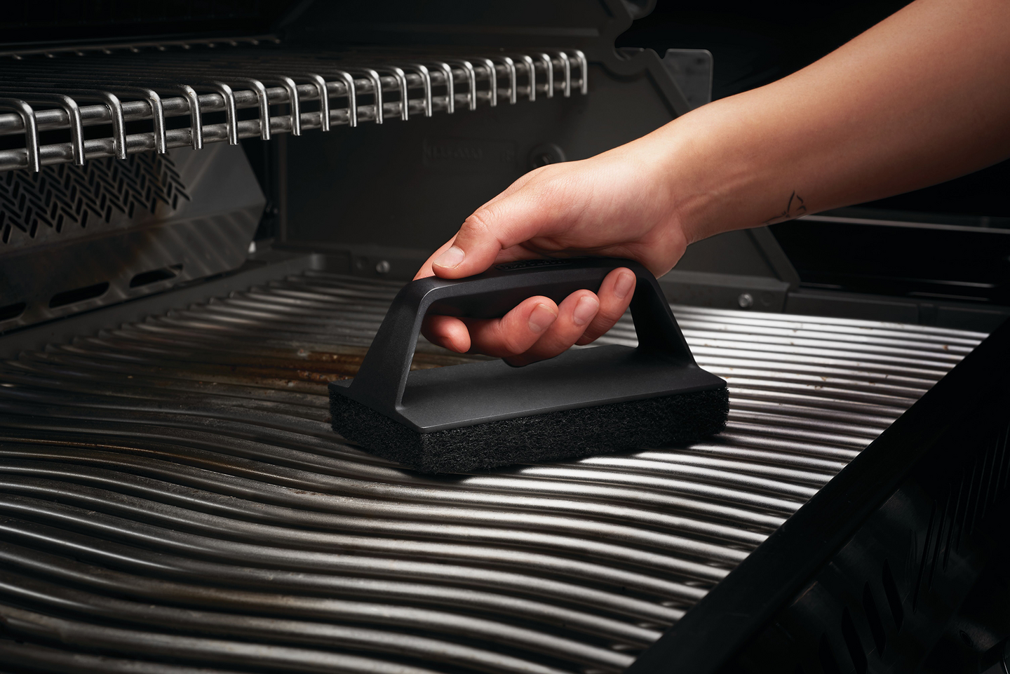 Puhdistussieni Napoleon