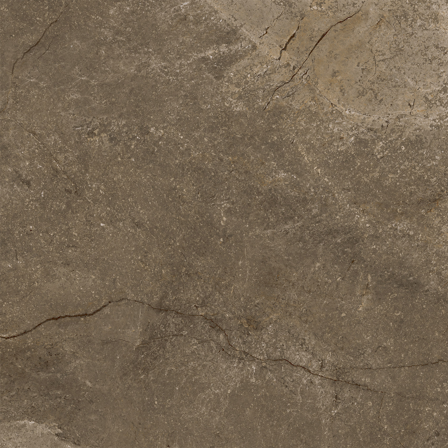 KLINKER CELLO CR.WELLS, 60X60 MATT MOKA RT