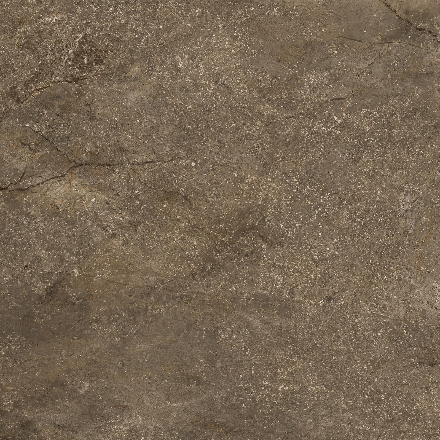 KLINKER CELLO CR.WELLS, 60X60 MATT MOKA RT