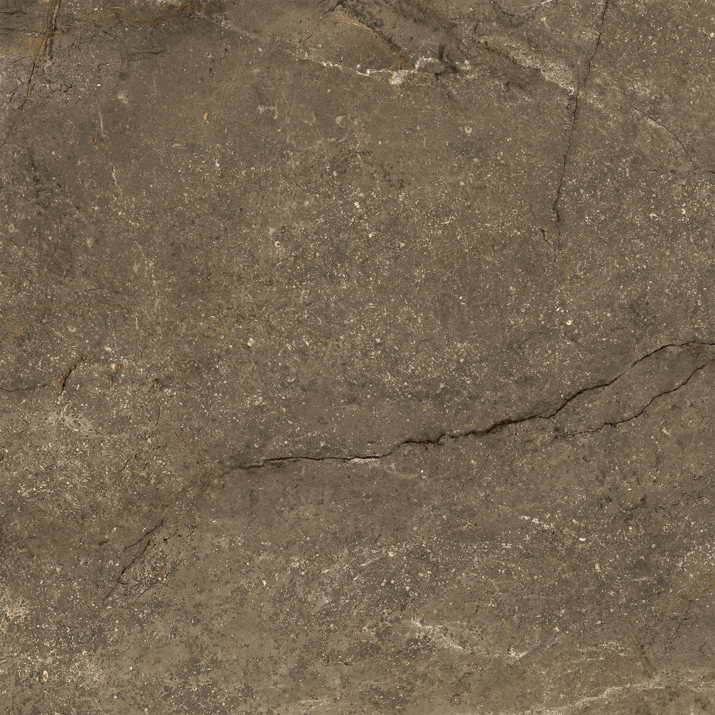 KLINKER CELLO CR.WELLS, 60X60 MATT MOKA RT