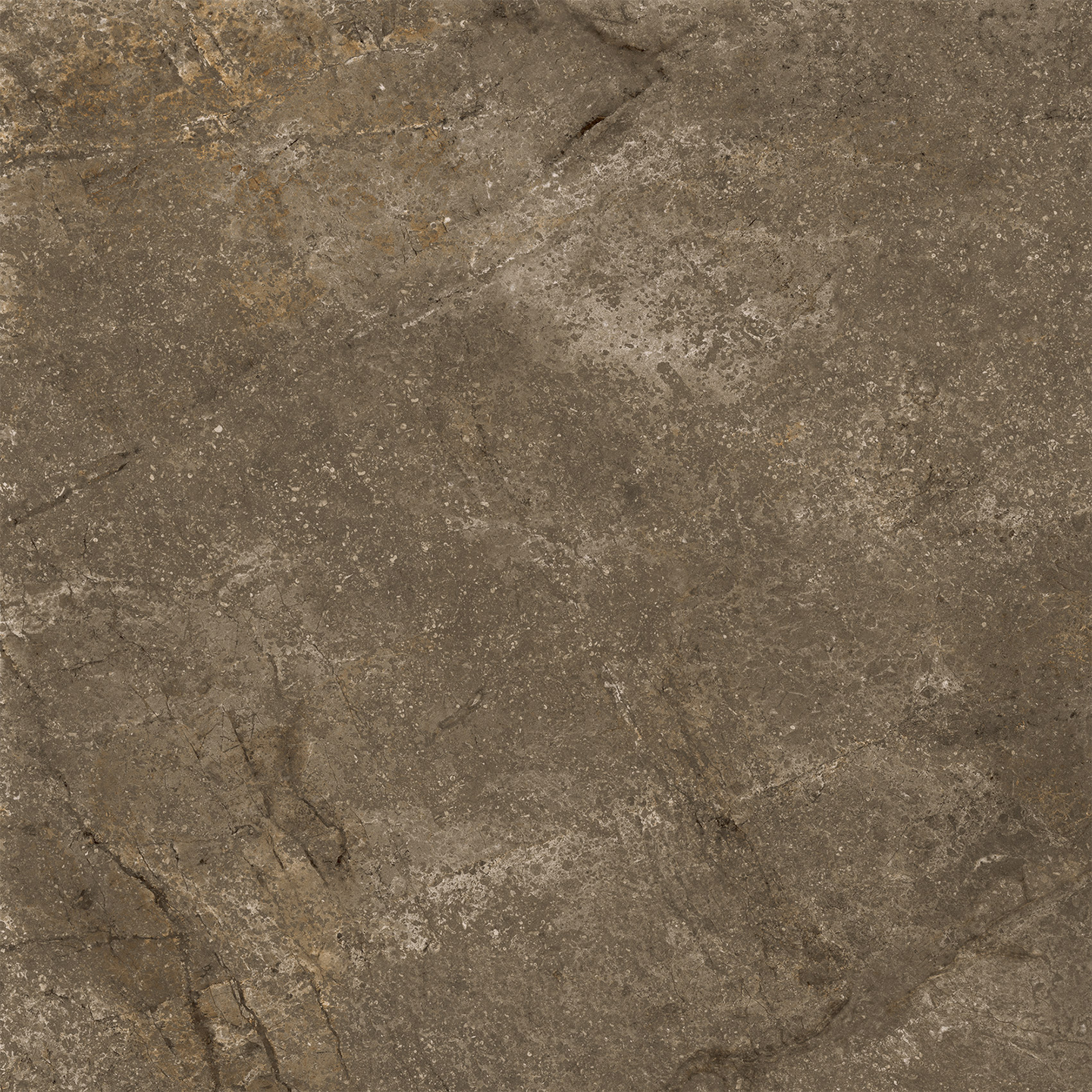 KLINKER CELLO CR.WELLS, 60X60 MATT MOKA RT