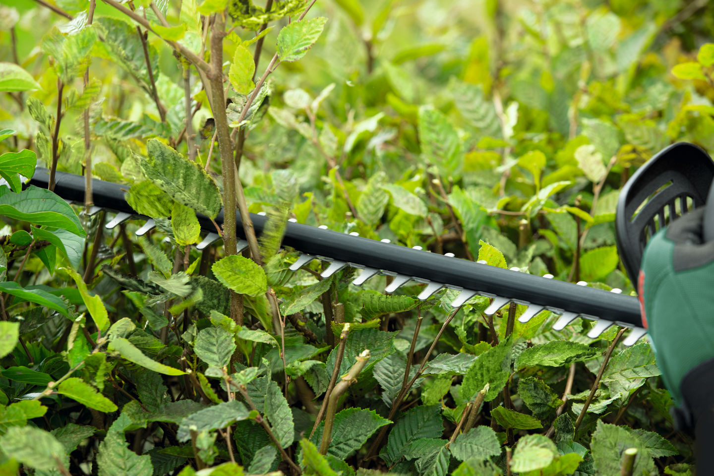 Akkupensasleikkuri Bosch UniversalHedgeCut 18-50 Solo