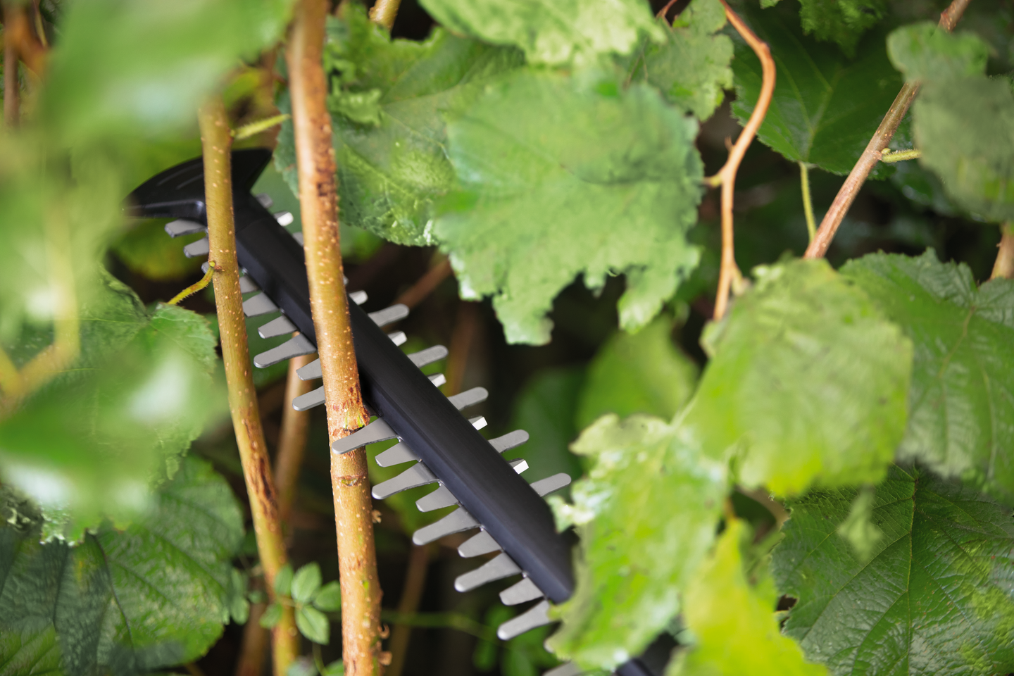 Akkupensasleikkuri Bosch UniversalHedgeCut 18-50 Solo