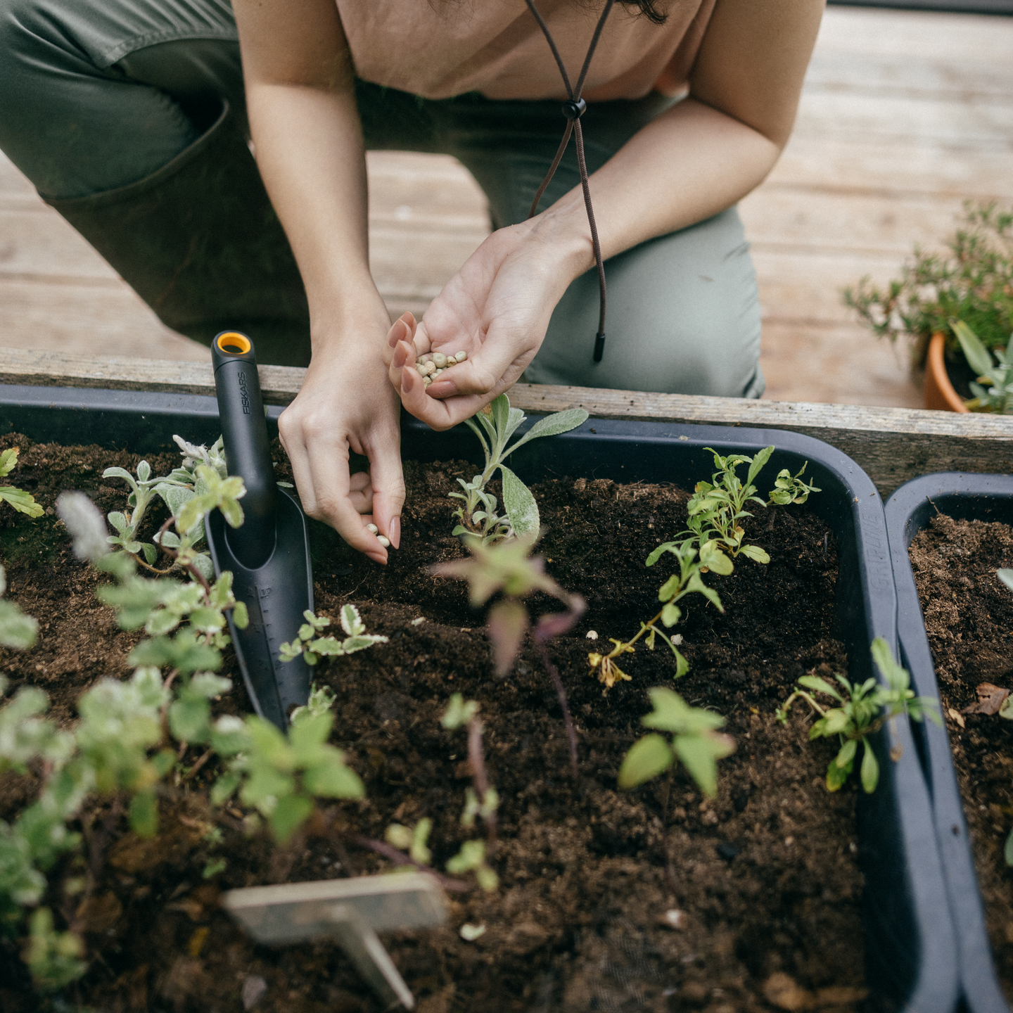 Istutuslapio kapea Fiskars Solid