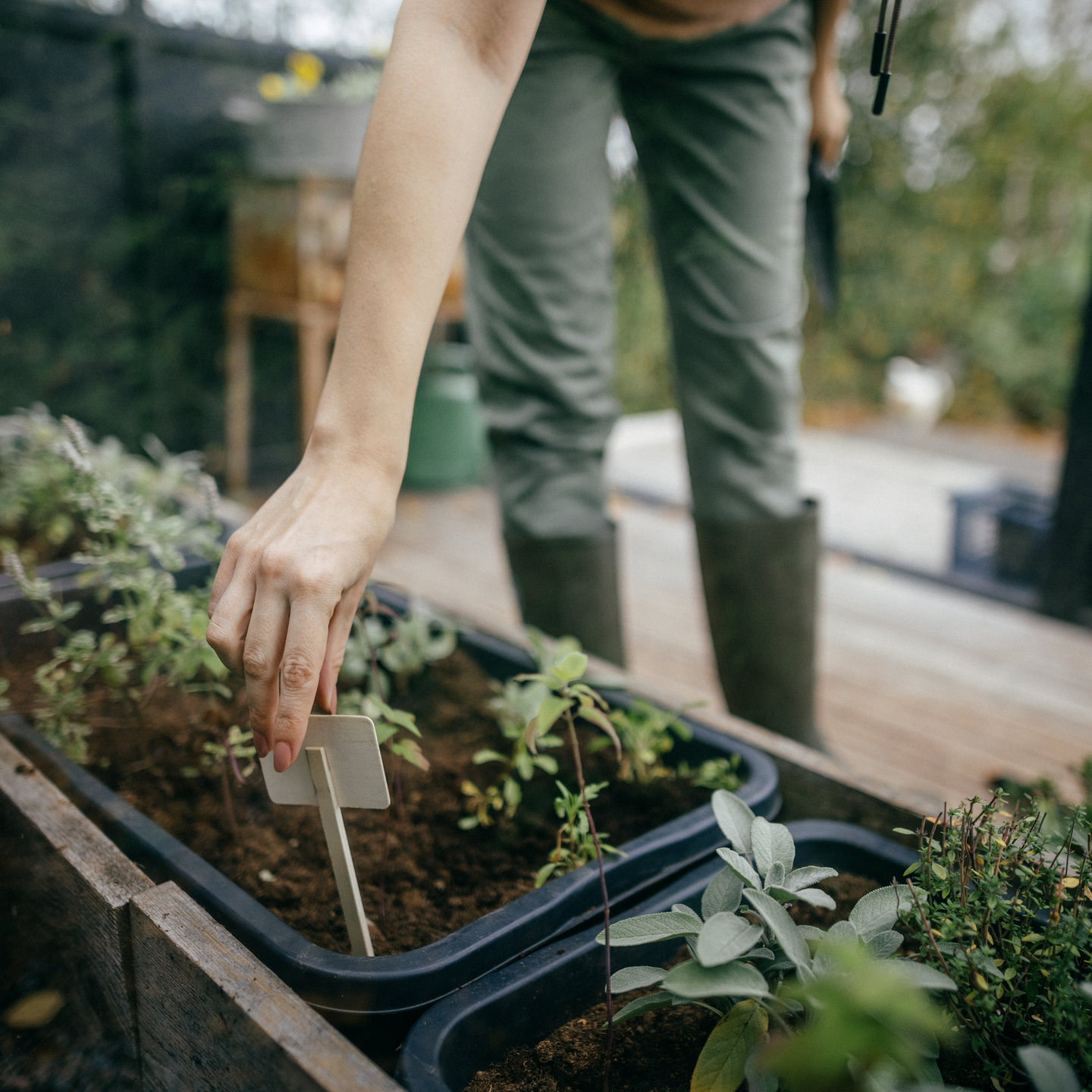 Istutuslapio kapea Fiskars Solid