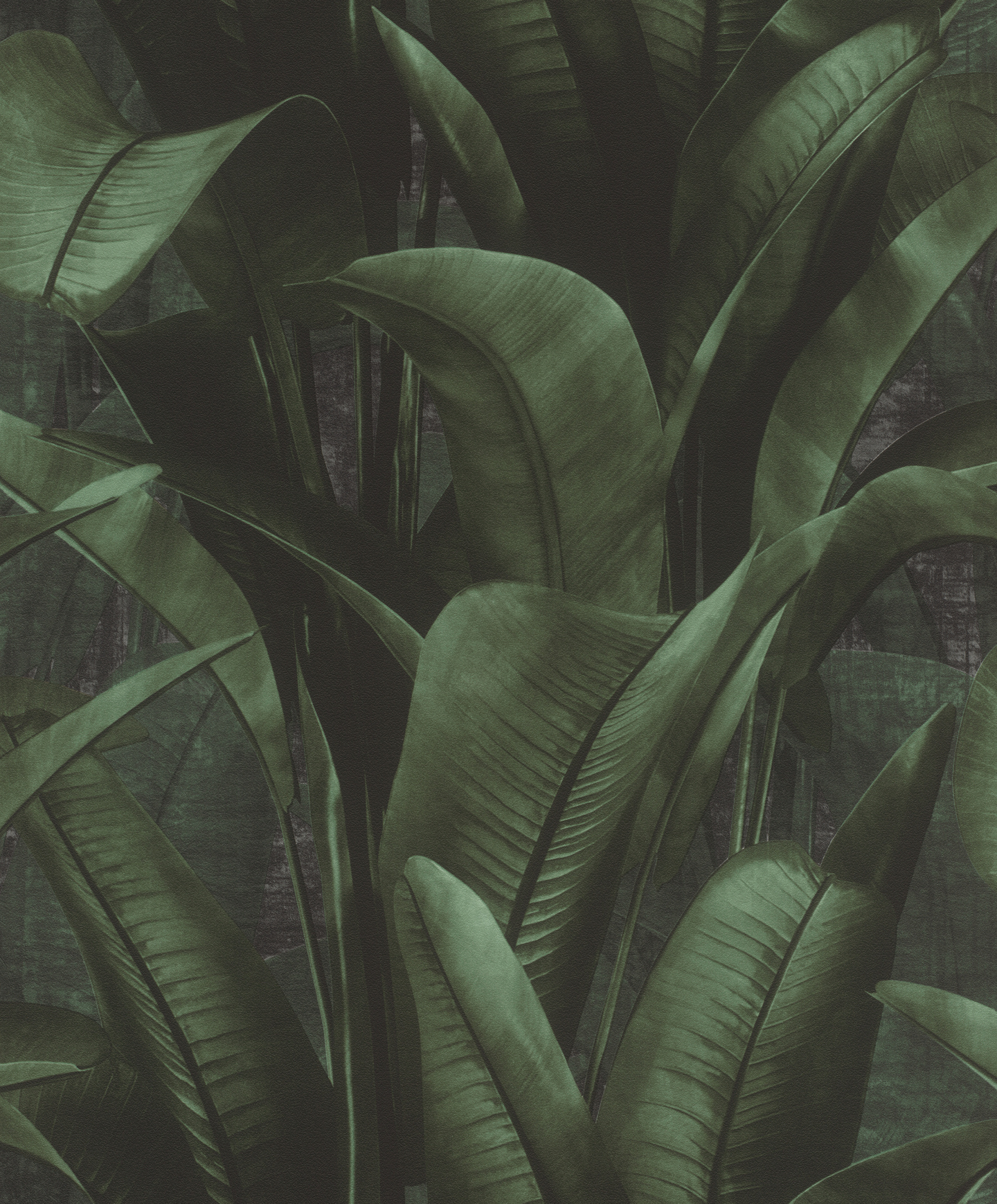 Vinyylitapetti Rasch Back to nature 416237 10,05m