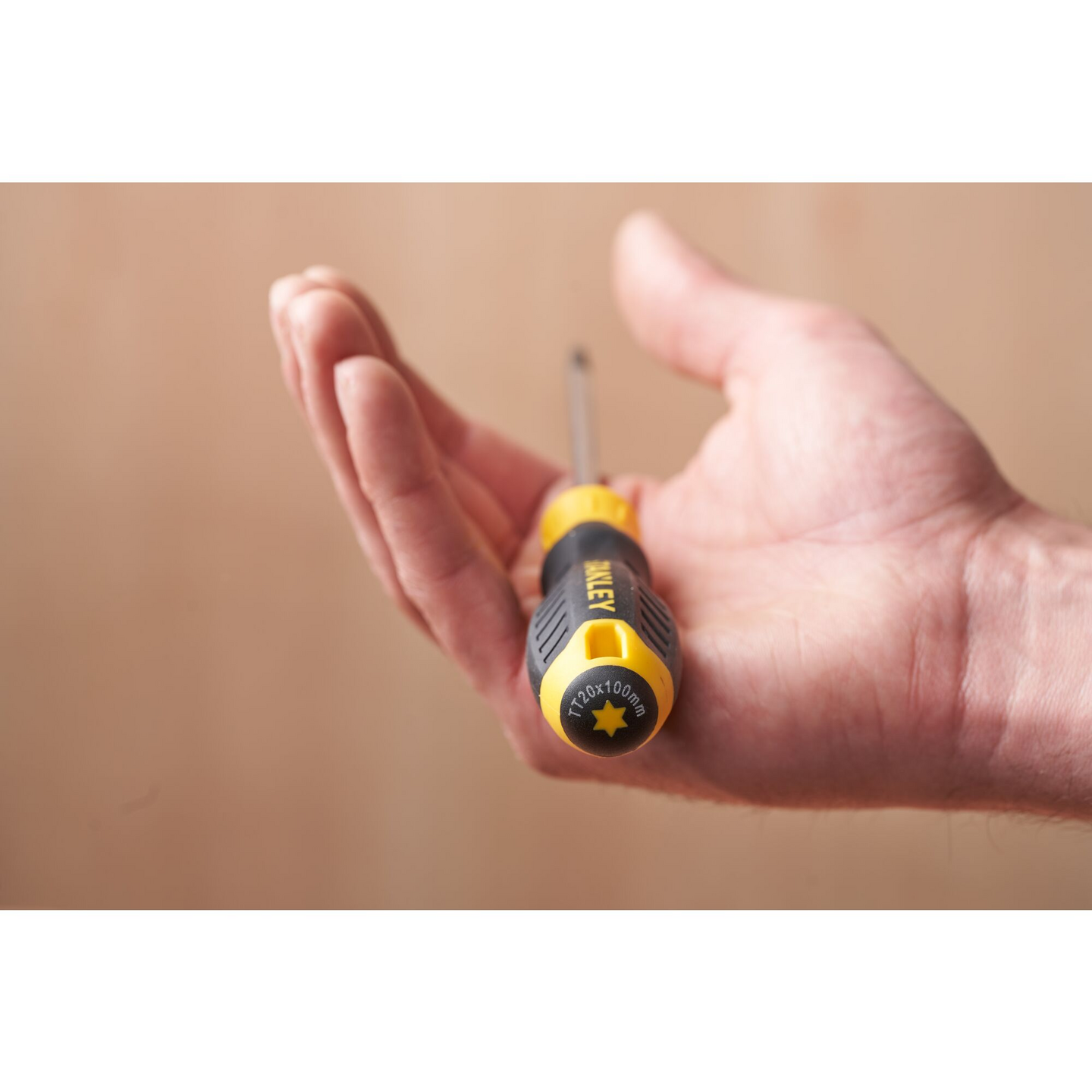 Ruuvitaltta Stanley TT20x100mm