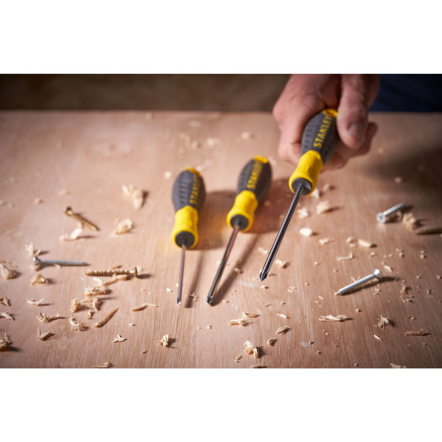 Ruuvitaltta Stanley Essential Ph2x100mm