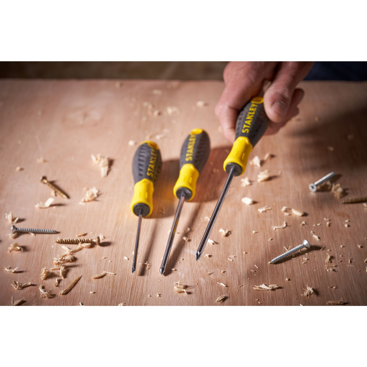 Ruuvitaltta Stanley Essential Pz2x100mm