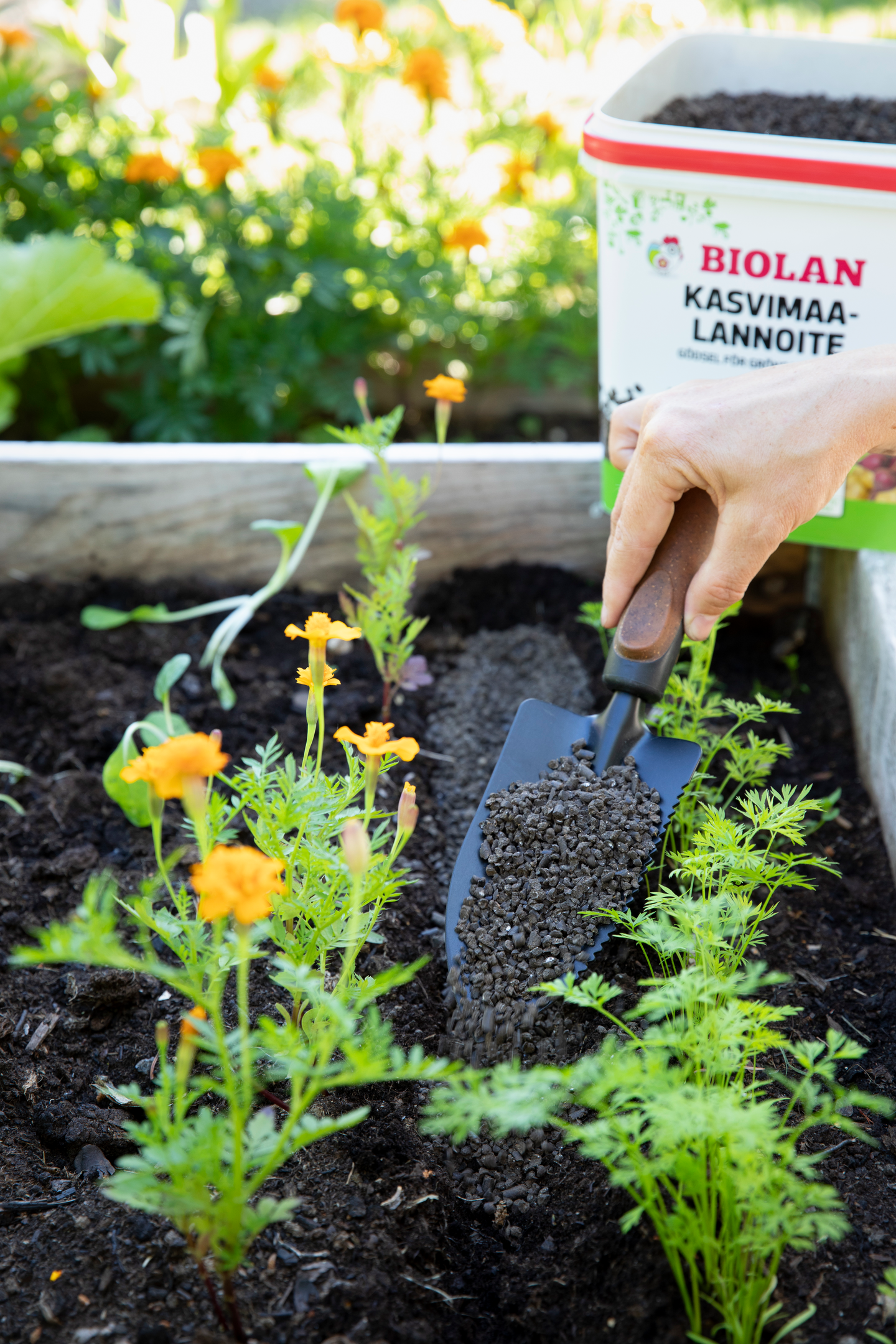 Kasvimaalannoite Biolan 5,5l pakki