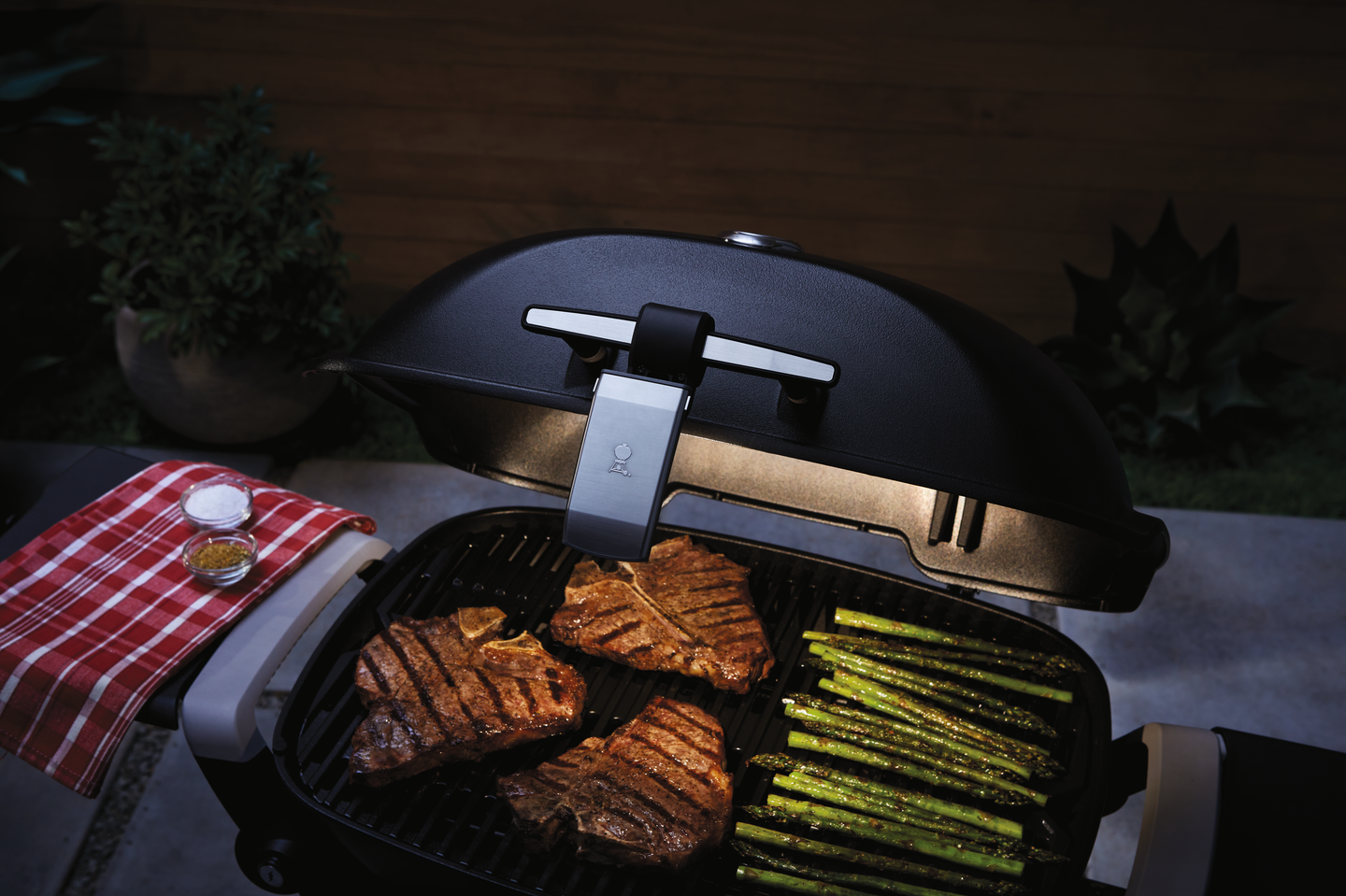 Grill 'n go Valaisin Weber Q1xxxn/Q2xxxn