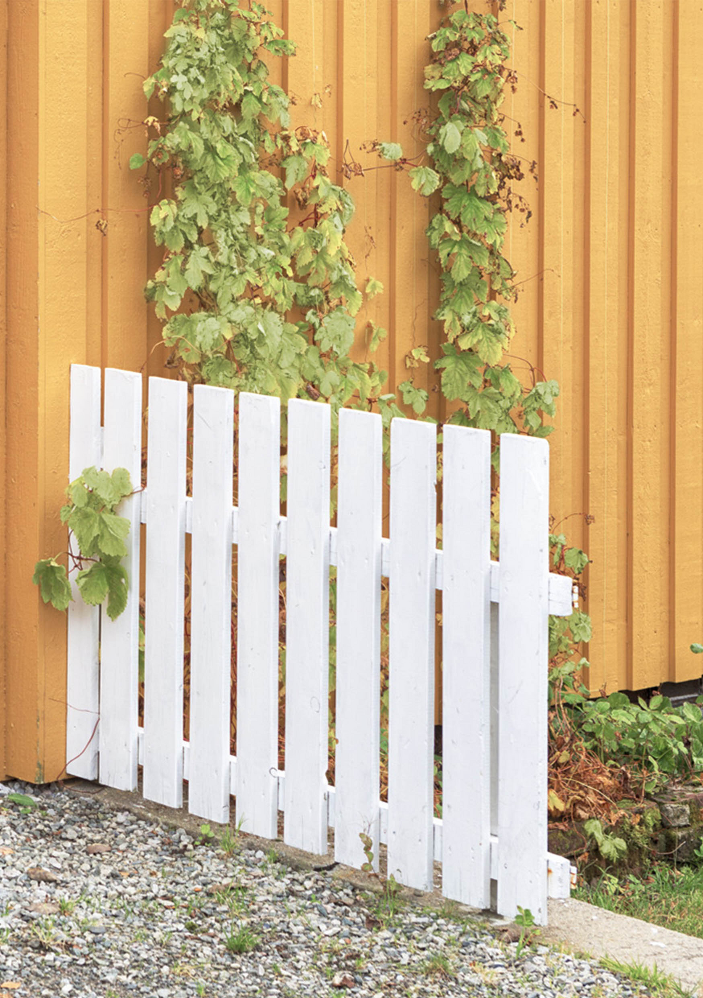 Maali H2O RAL1021 Rypsinkeltainen 250ml