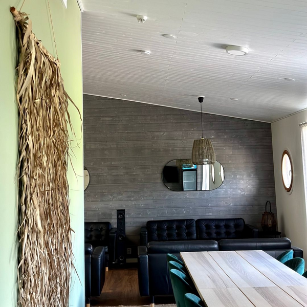 Sisustuspaneeli Siparila Roso 13x120x2050mm valkoinen