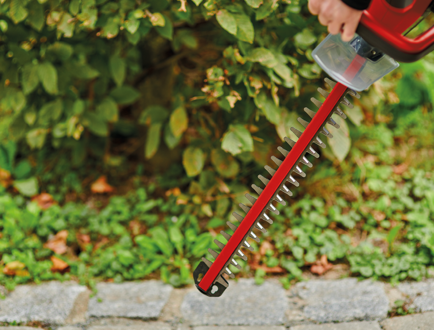 Akkupensasleikkuri Einhell PXC GC-CH 18/40 Li Solo