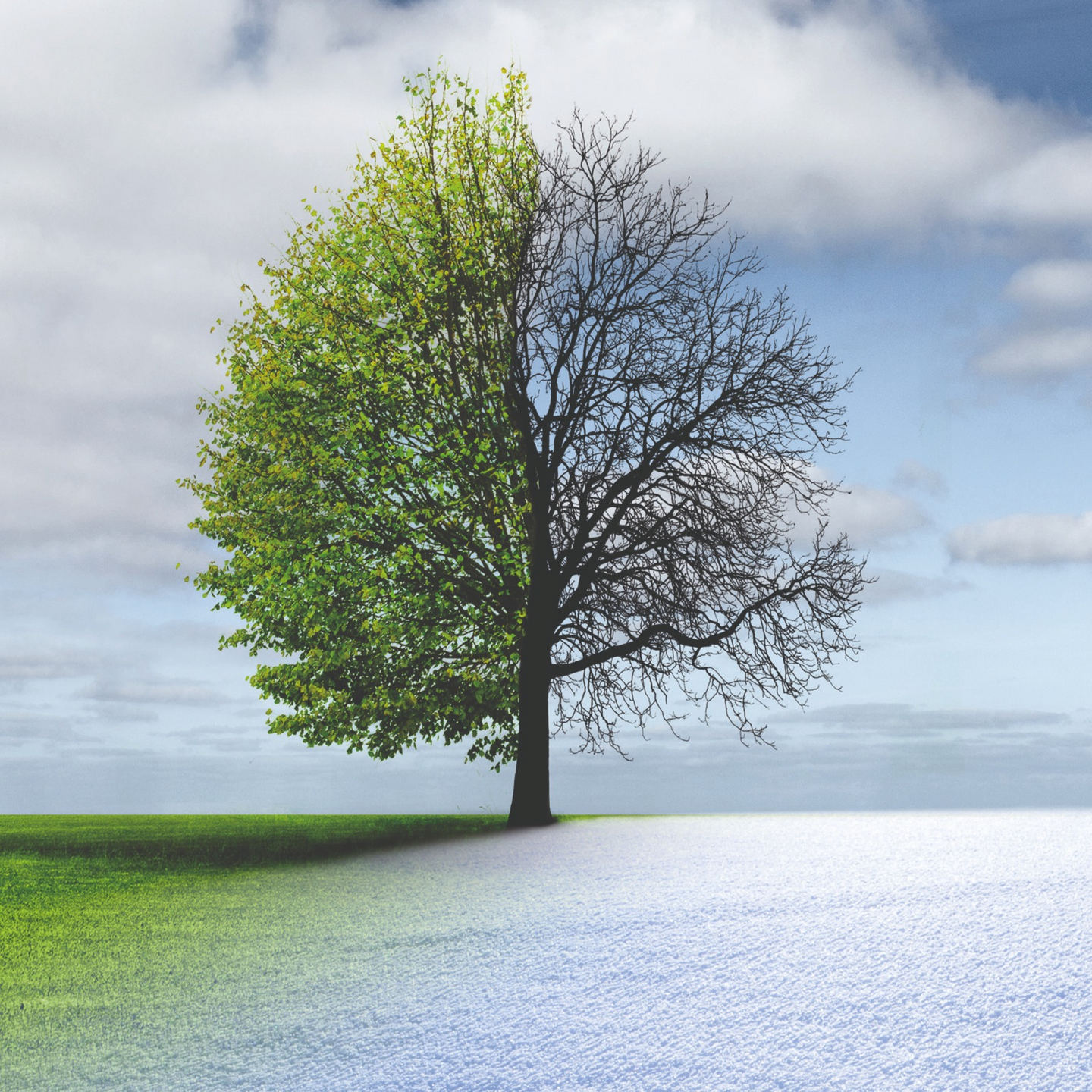 Akkulevitin Einhell PXC GE-SR 18/22 Li-Solo