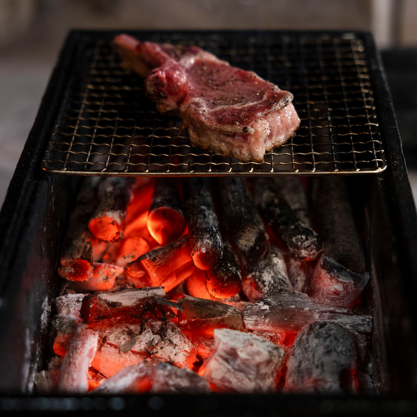 Grillihiili Binchotan Eukalyptus 5kg