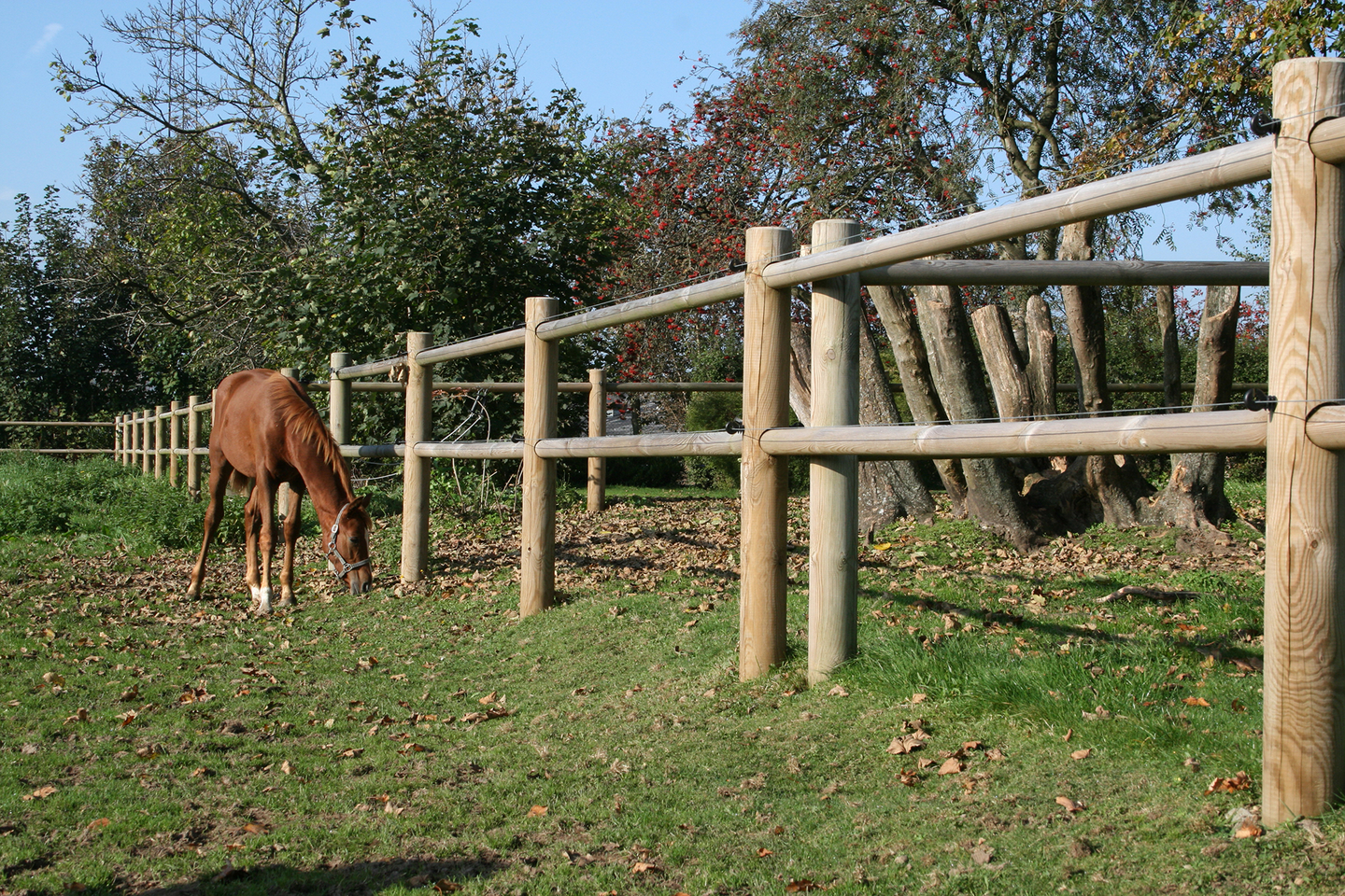 Hevosaitaus 40 metriä, painekyllästetty