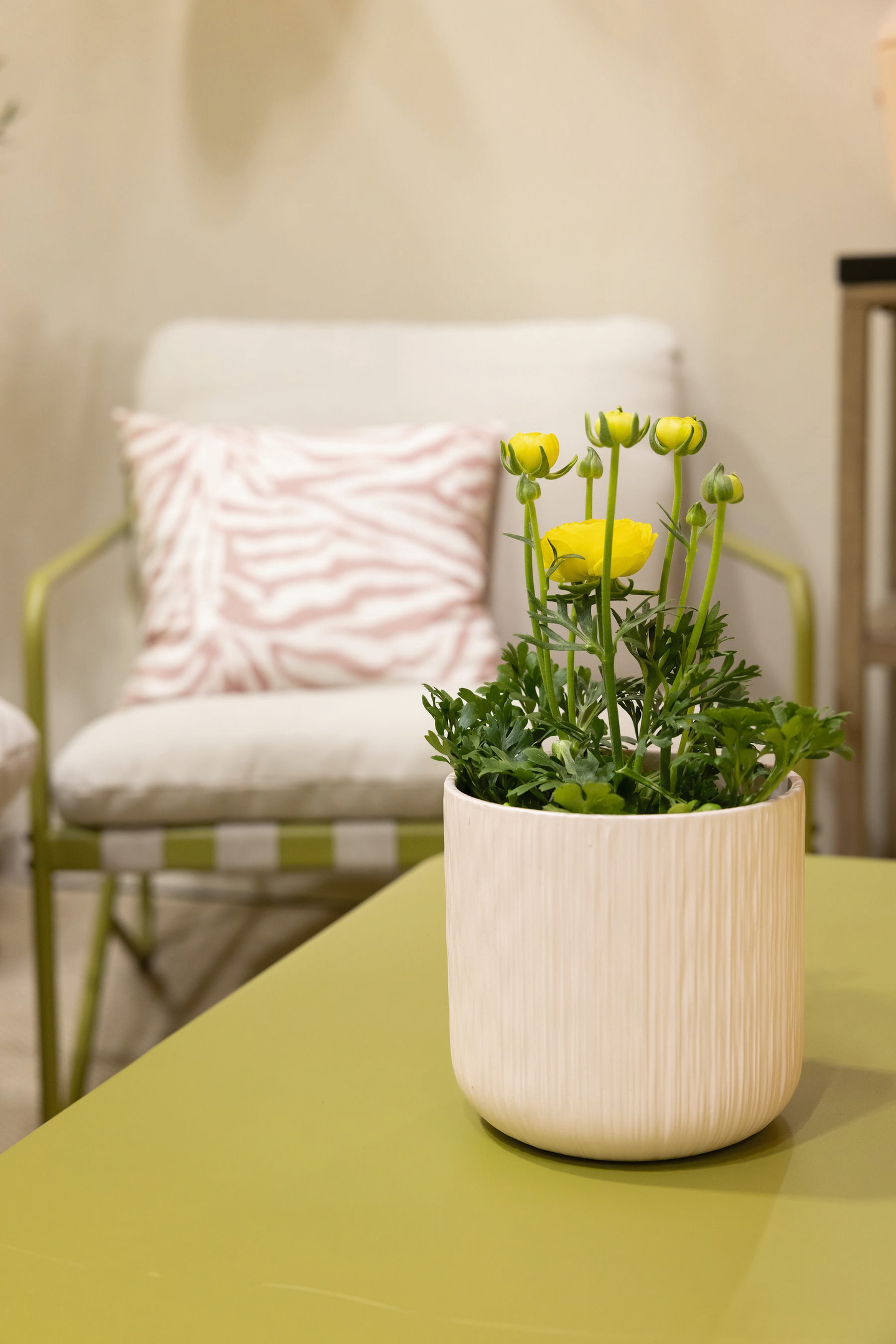 Sohvaryhmä Cello Green 4 osaa