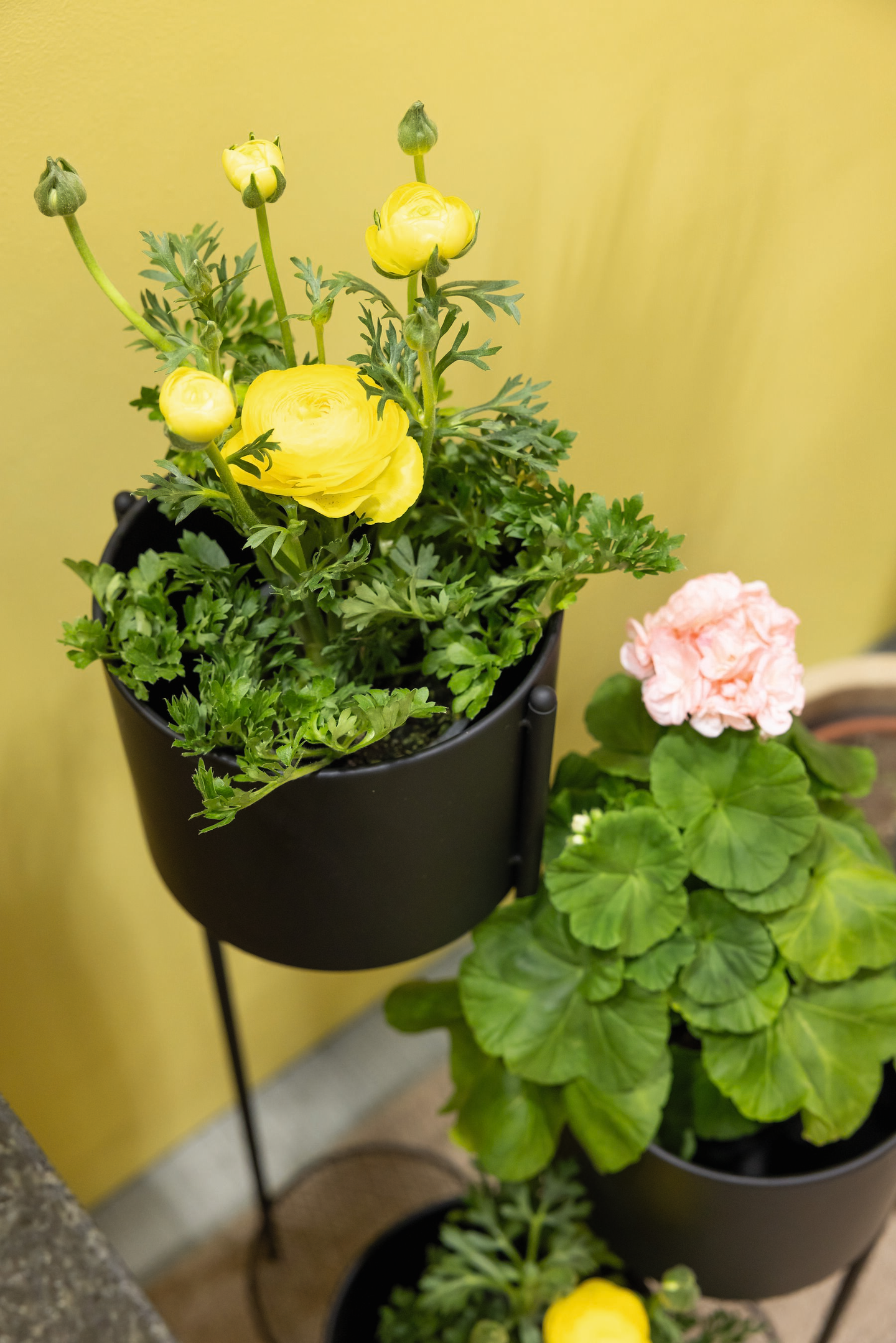 Ruukkutorni Cello taittuva 3-osainen matta musta