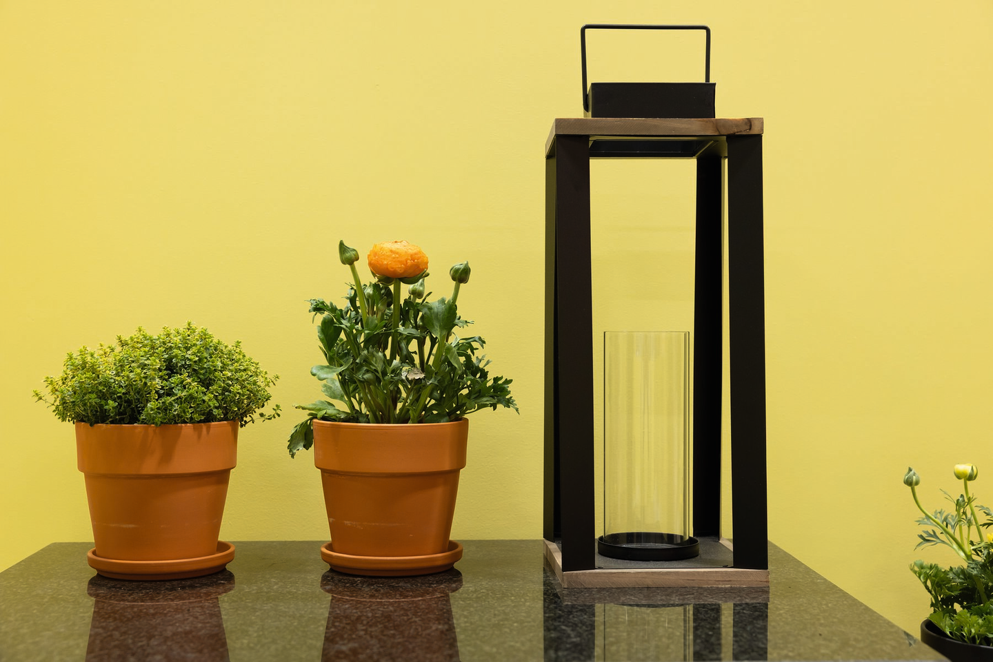 Lyhty Cello Elegant 44cm musta/puu