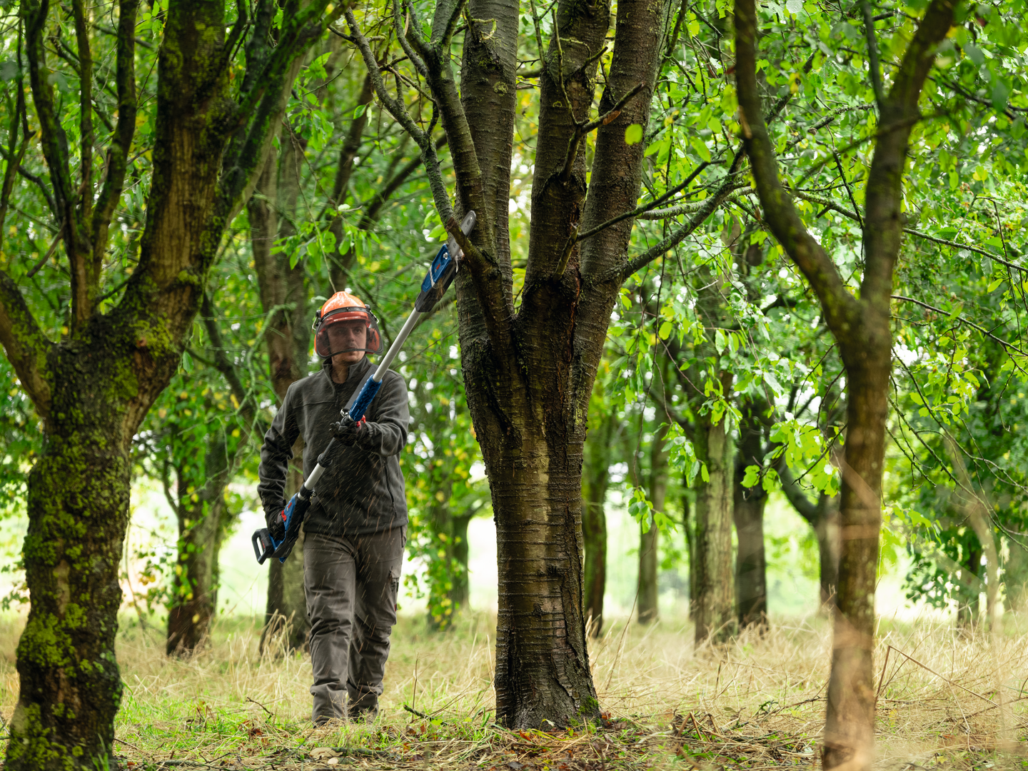 Akkuoksasaha Bosch GKE 18V-25 T teleskooppi Solo