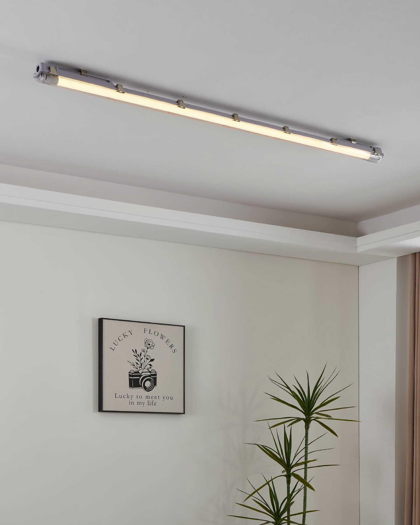 Led-valoputki EGLO T8 1514mm 2600lm 23W 3000K G13 lasi