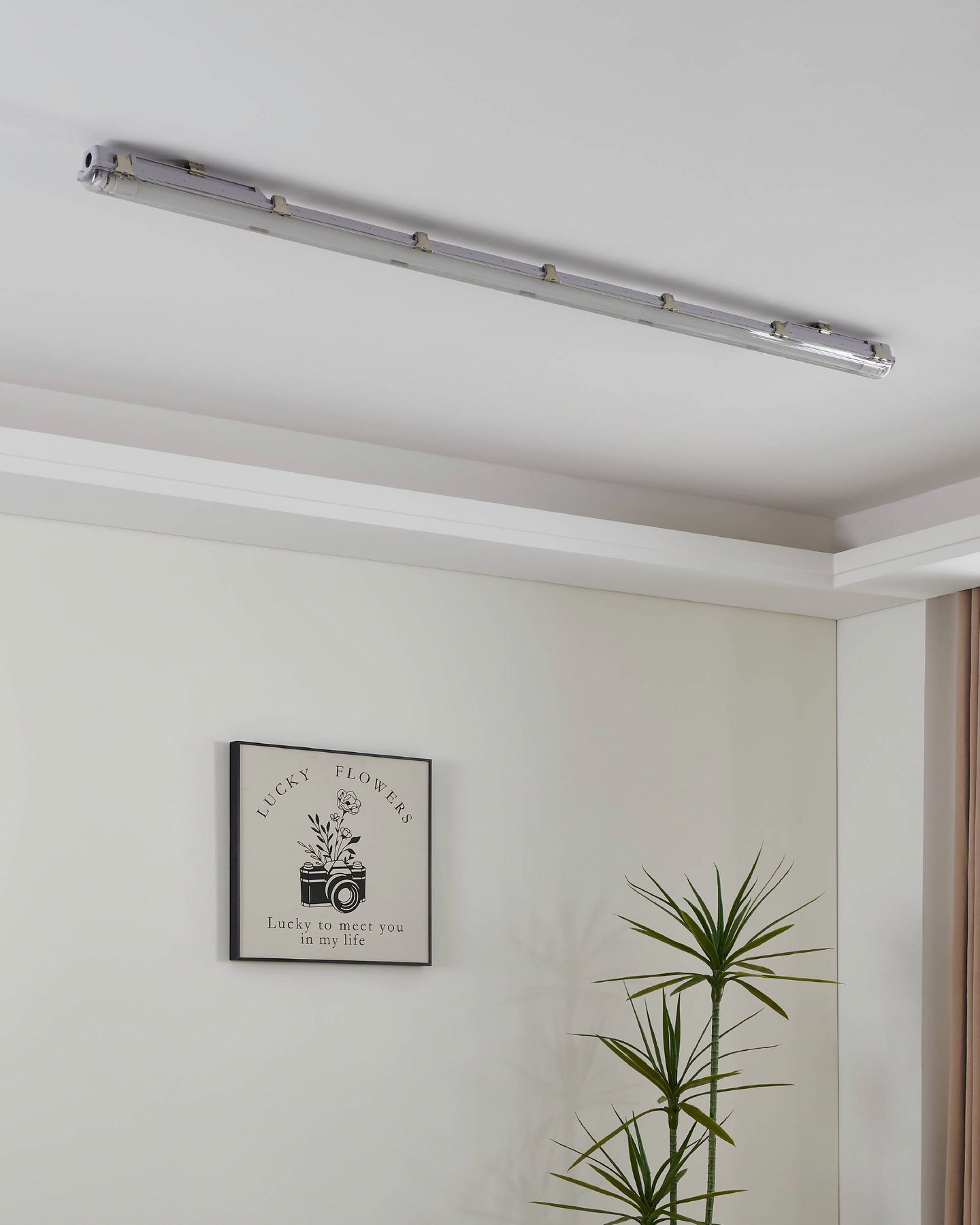 Led-valoputki EGLO T8 1514mm 2600lm 23W 3000K G13 lasi